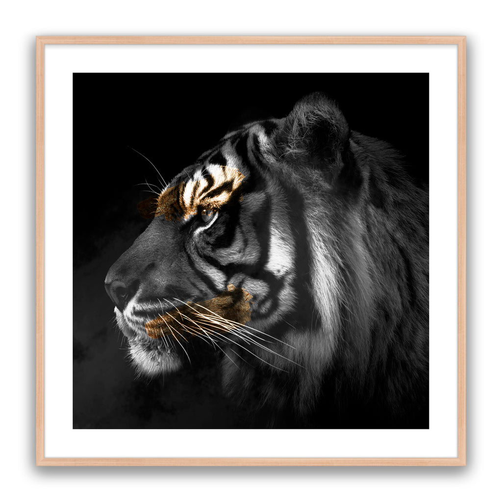 Tiger Gold Square