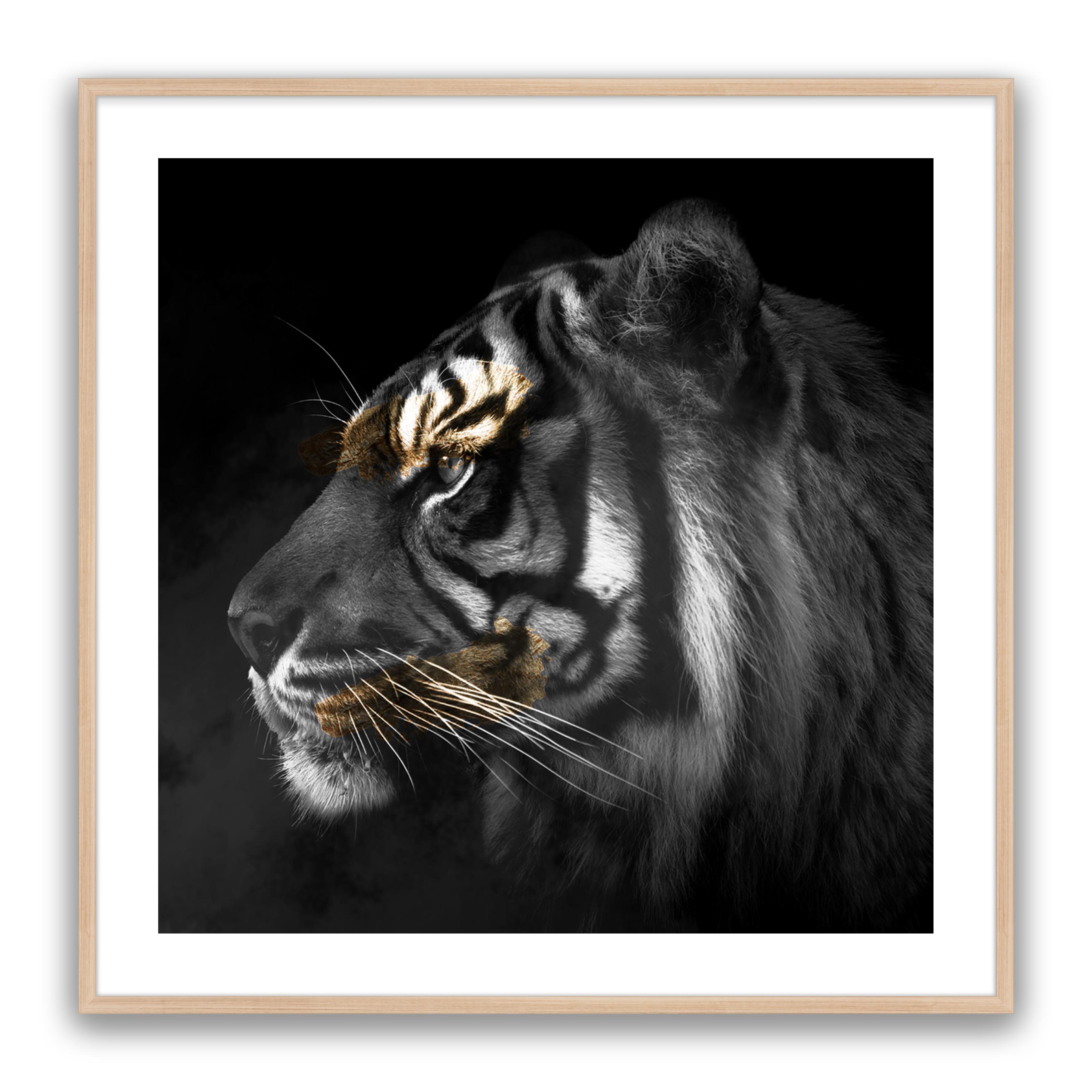 Tiger Gold Square