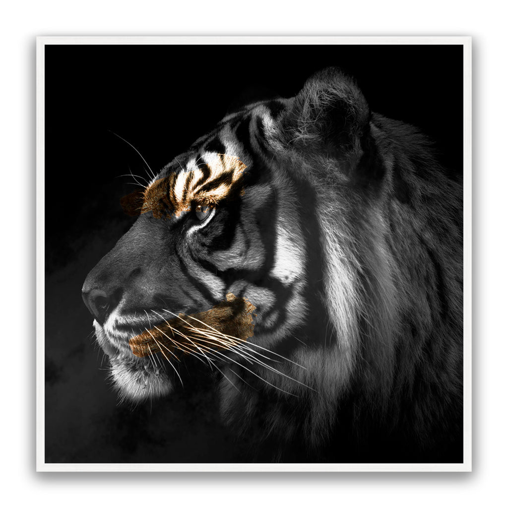 Tiger Gold Square