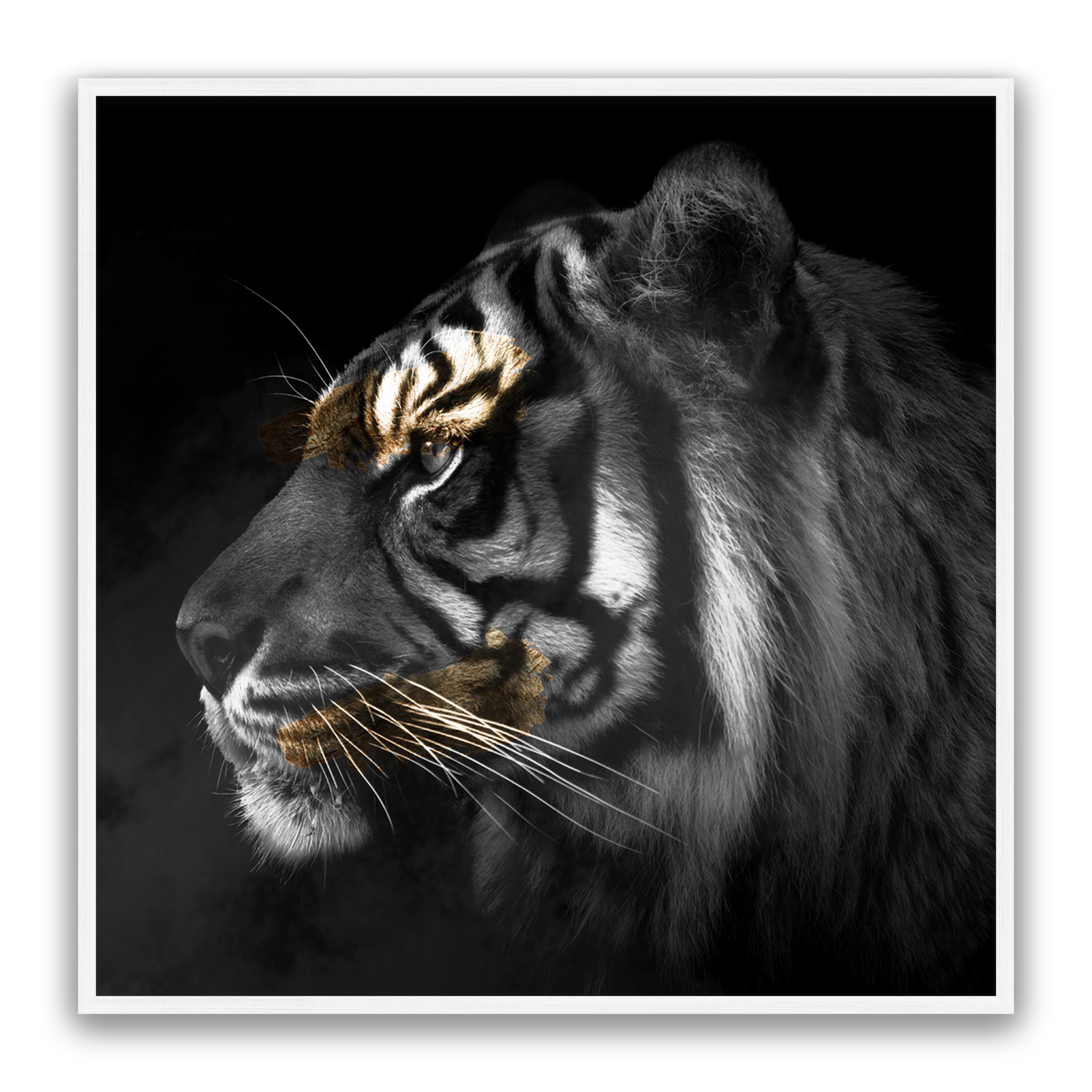 Tiger Gold Square