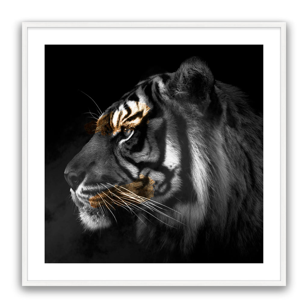 Tiger Gold Square