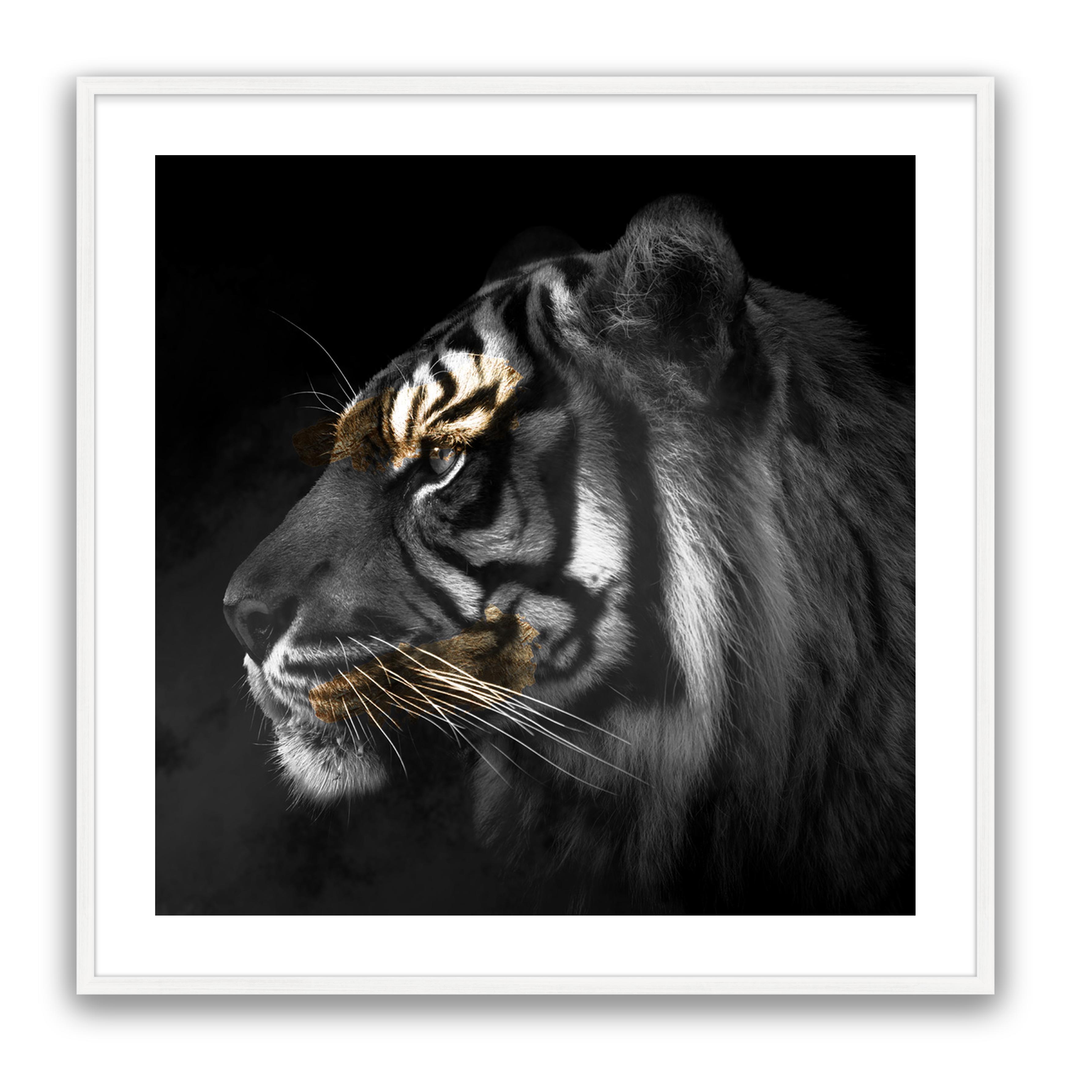 Tiger Gold Square