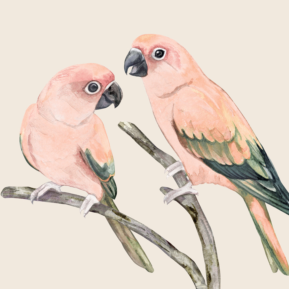 Love Birds