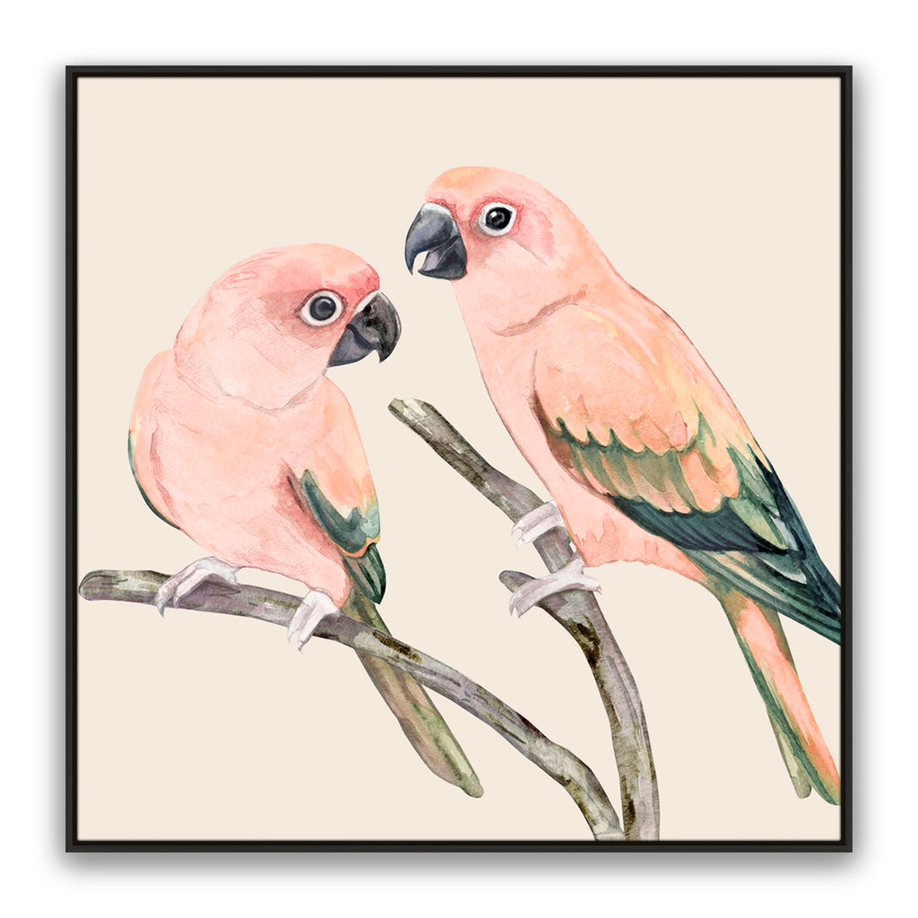 Love Birds