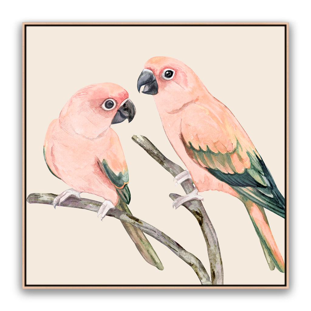 Love Birds
