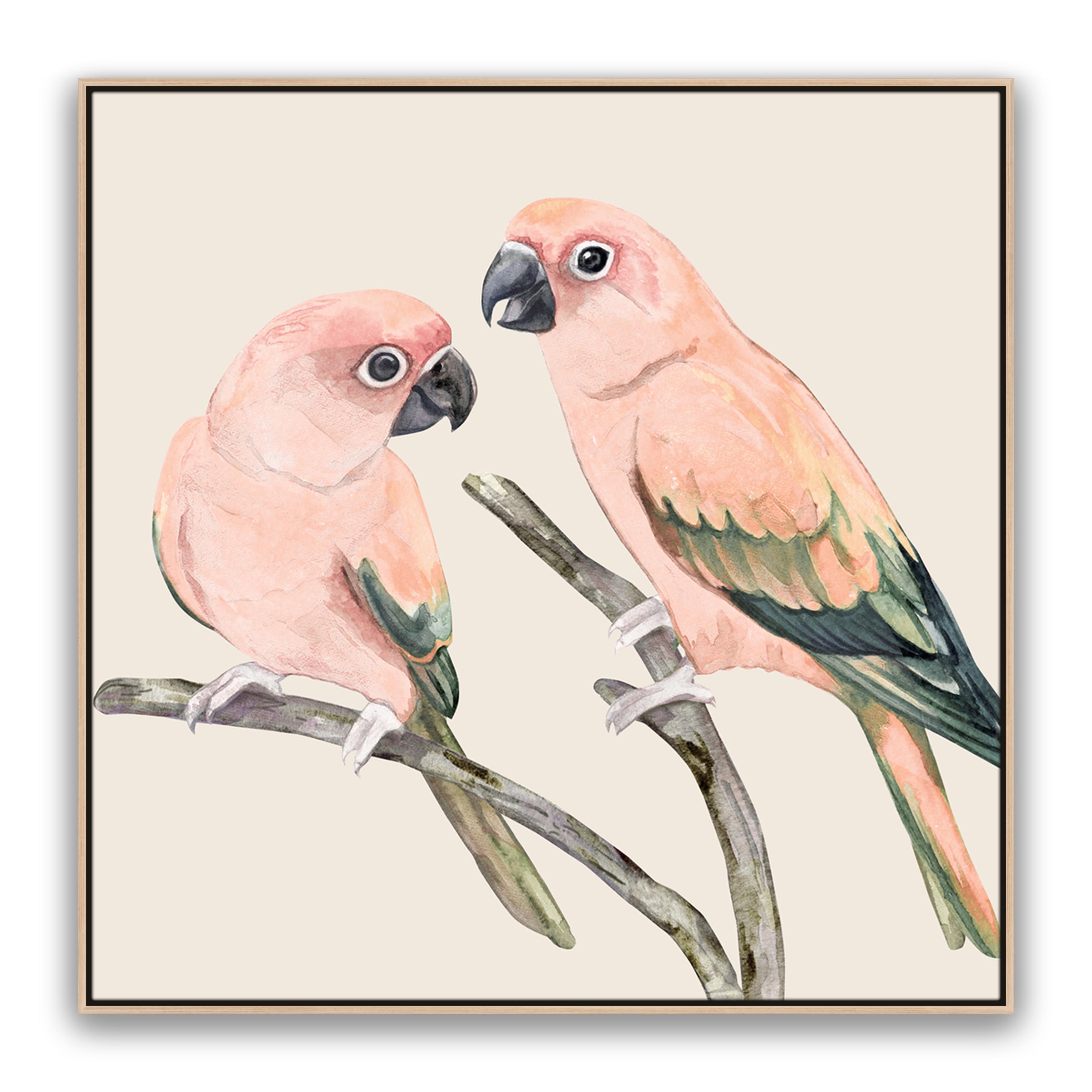 Love Birds