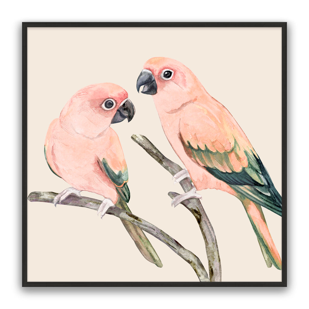 Love Birds