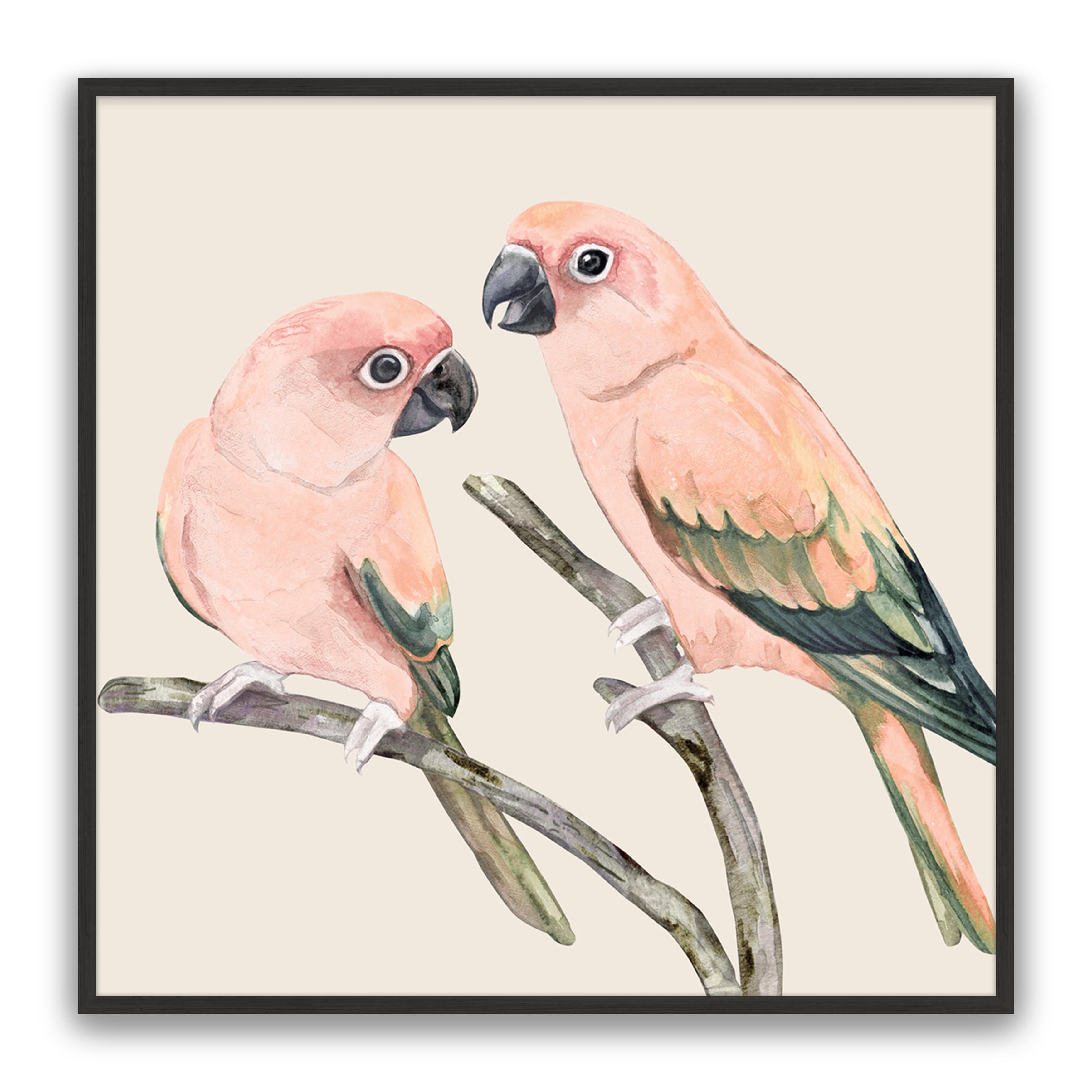 Love Birds