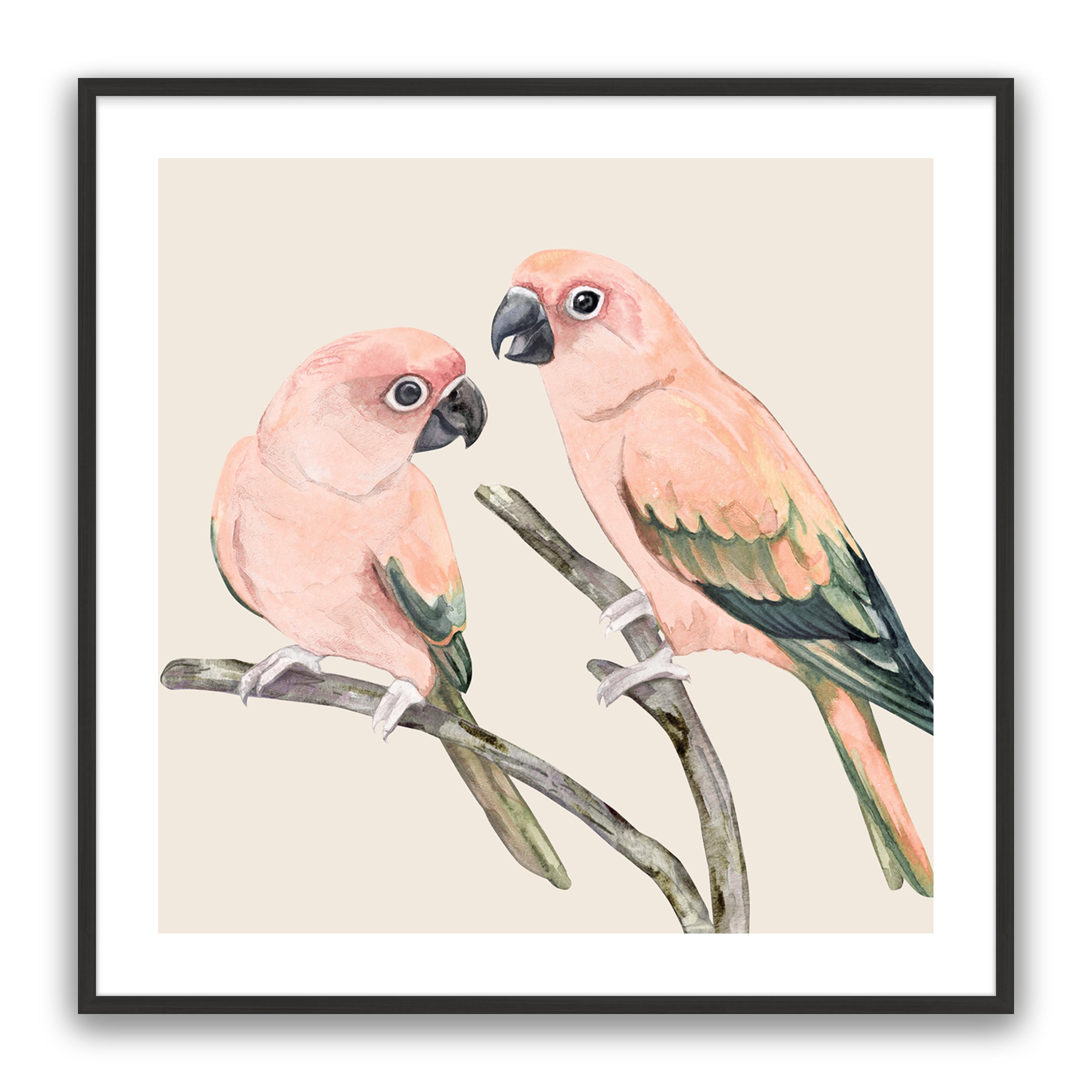Love Birds