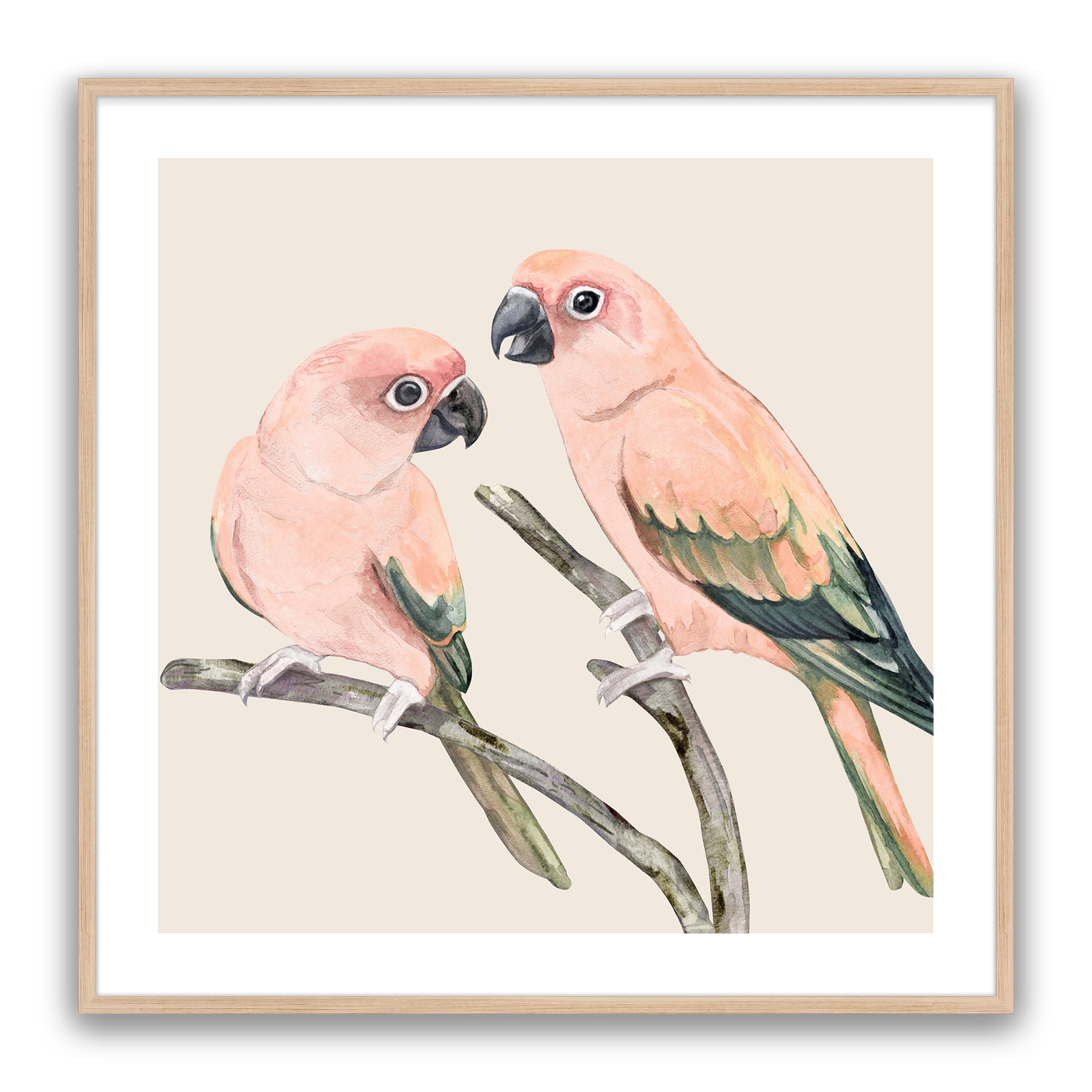 Love Birds