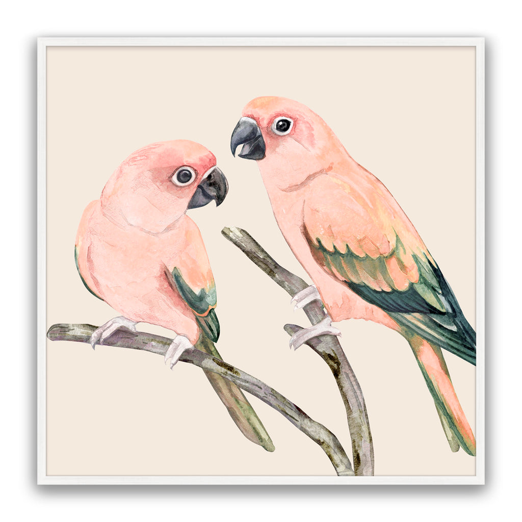 Love Birds