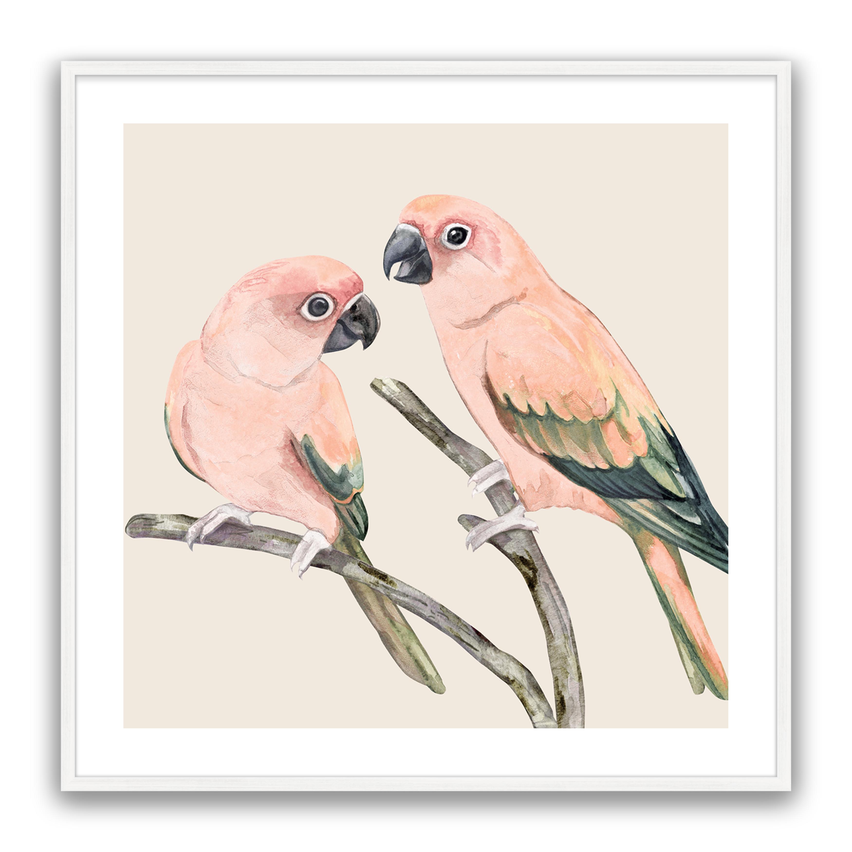 Love Birds