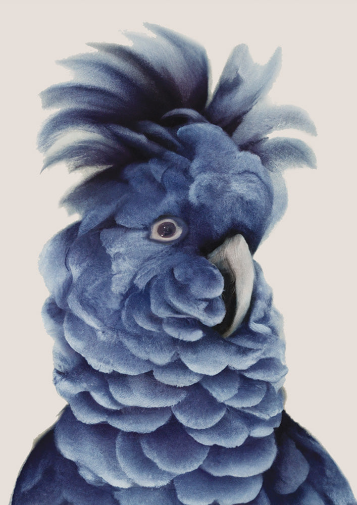 Sully