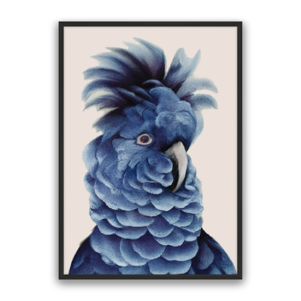 Sully