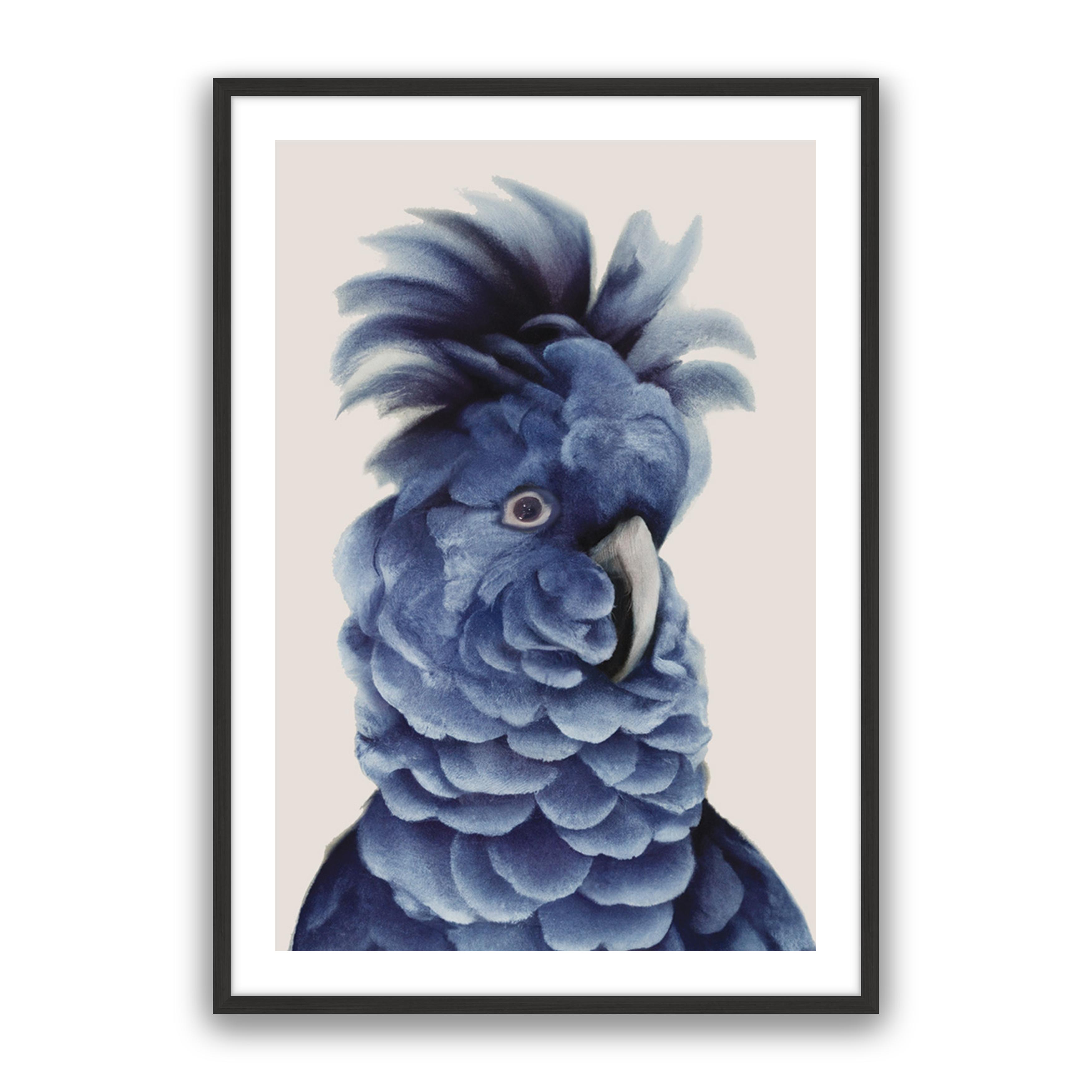 Sully