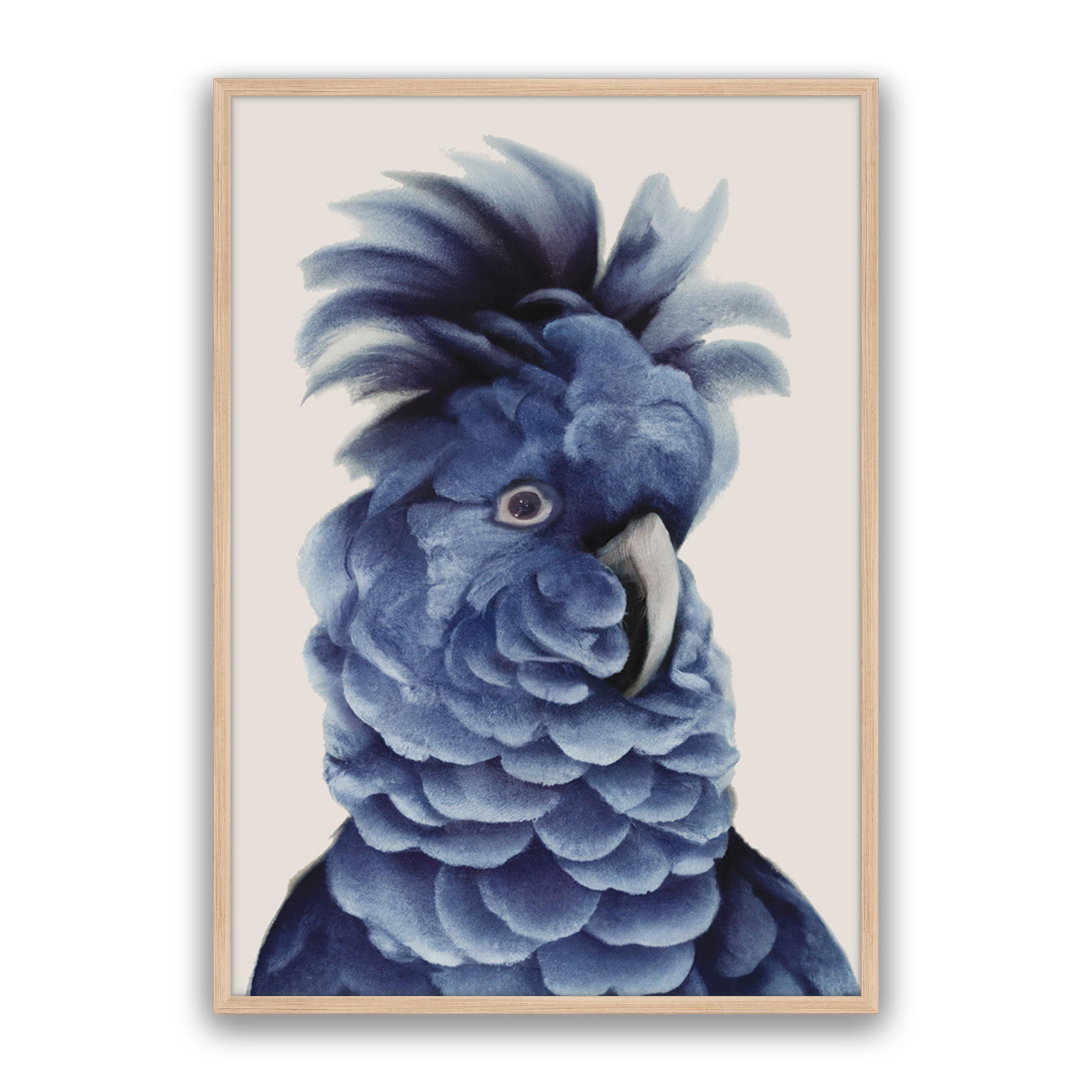 Sully
