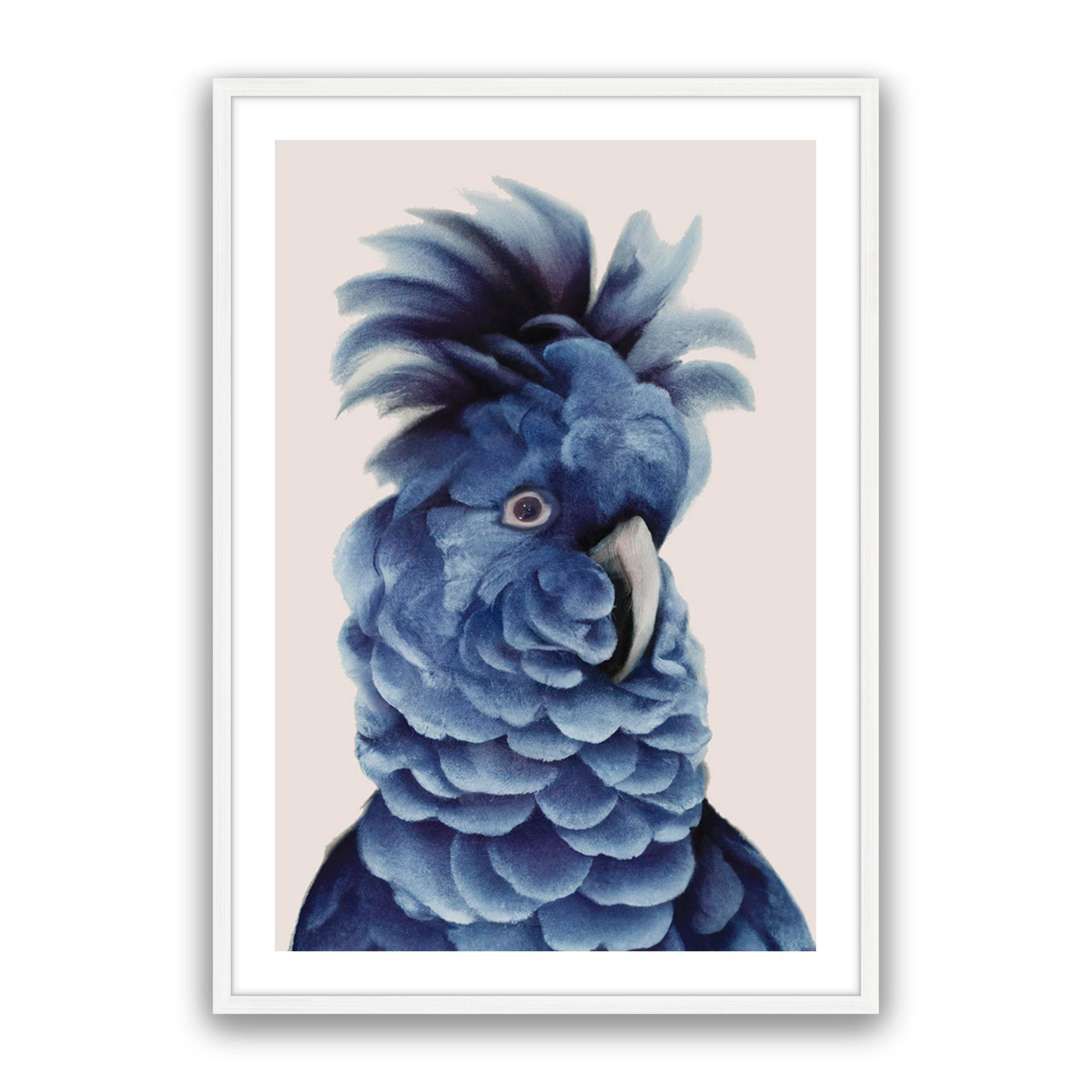 Sully