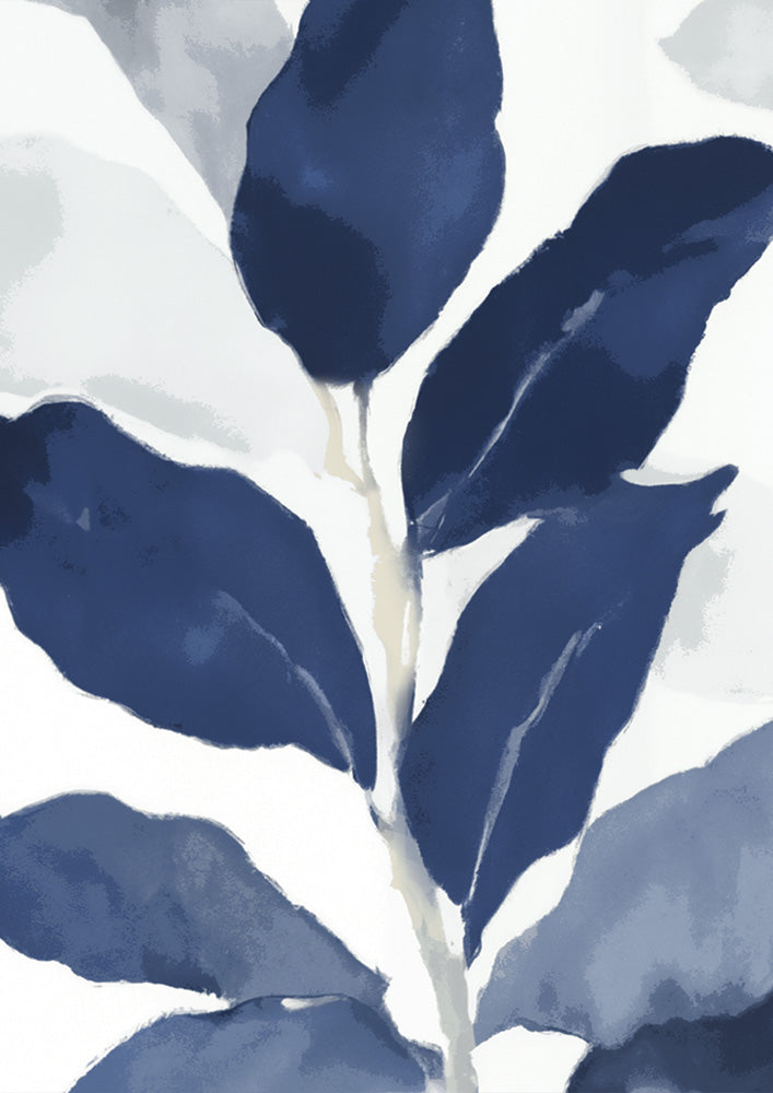 Plantation Blu 2