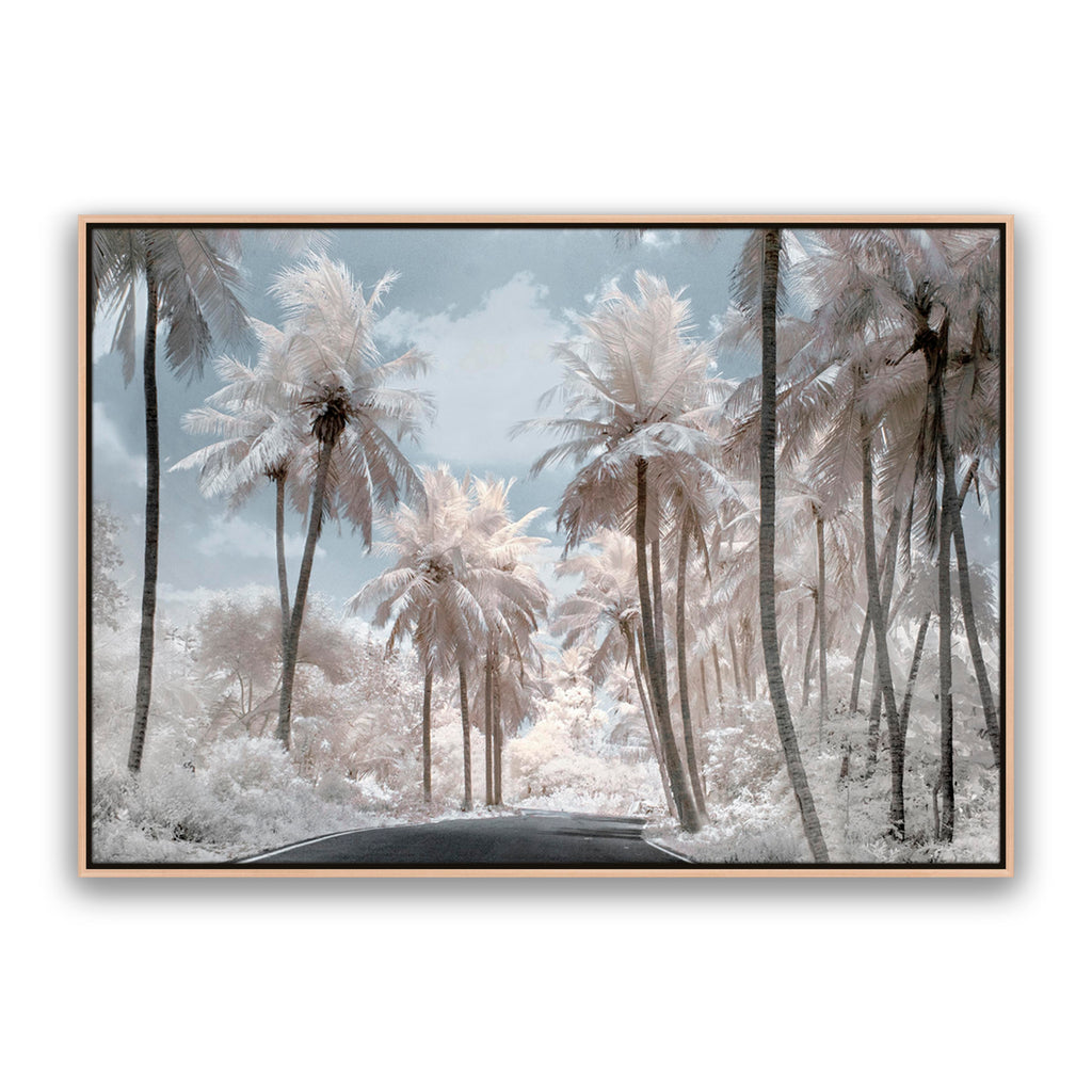 White Dream