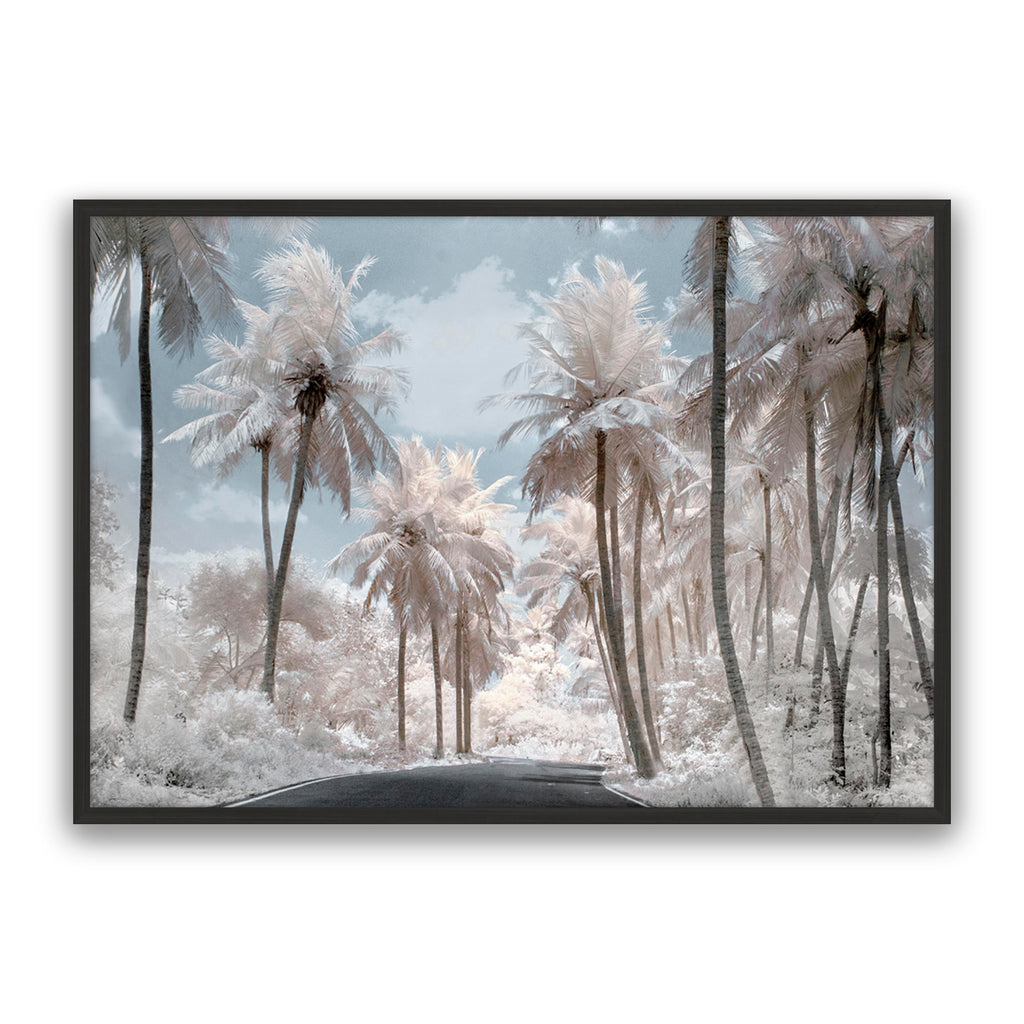 White Dream