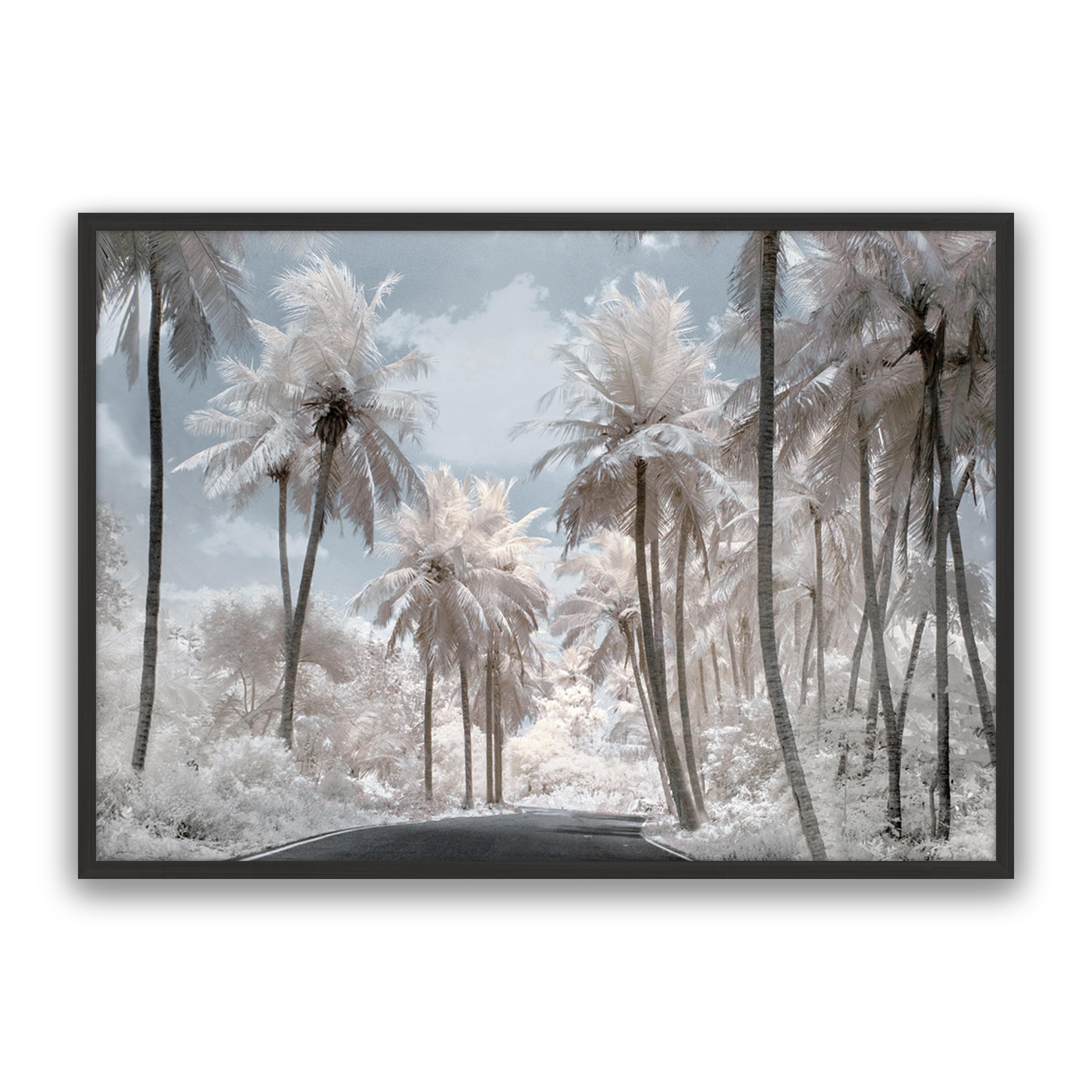 White Dream