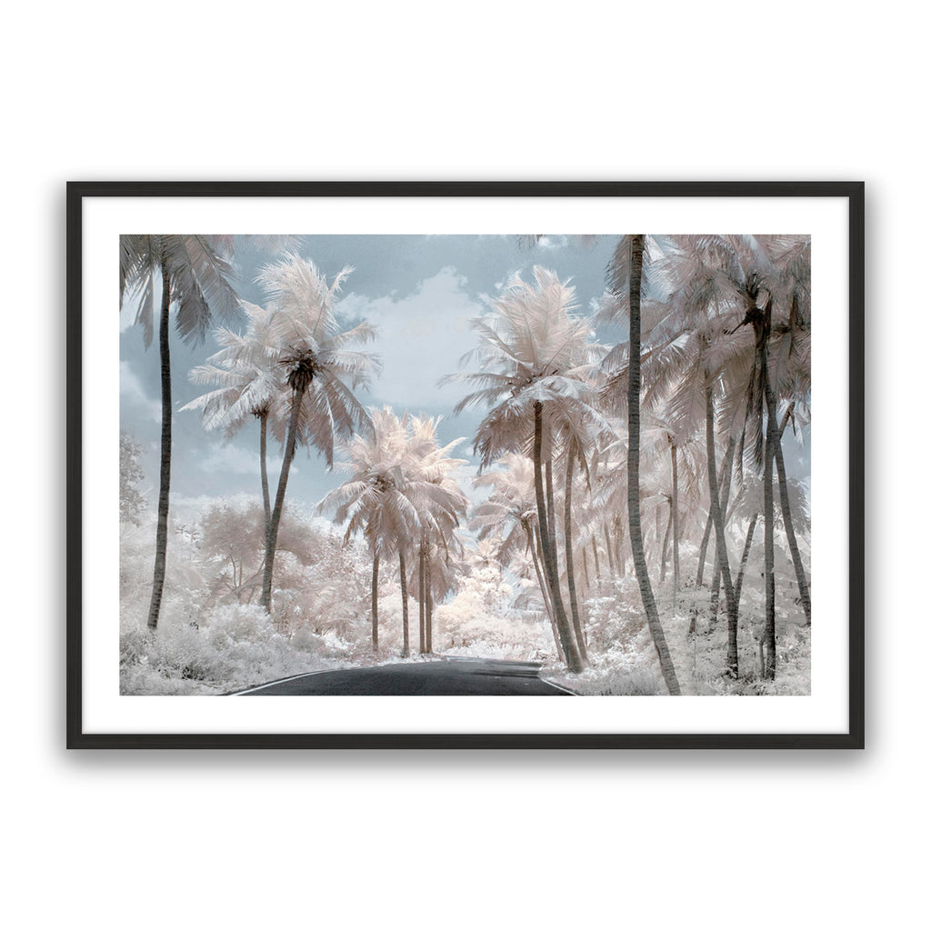 White Dream