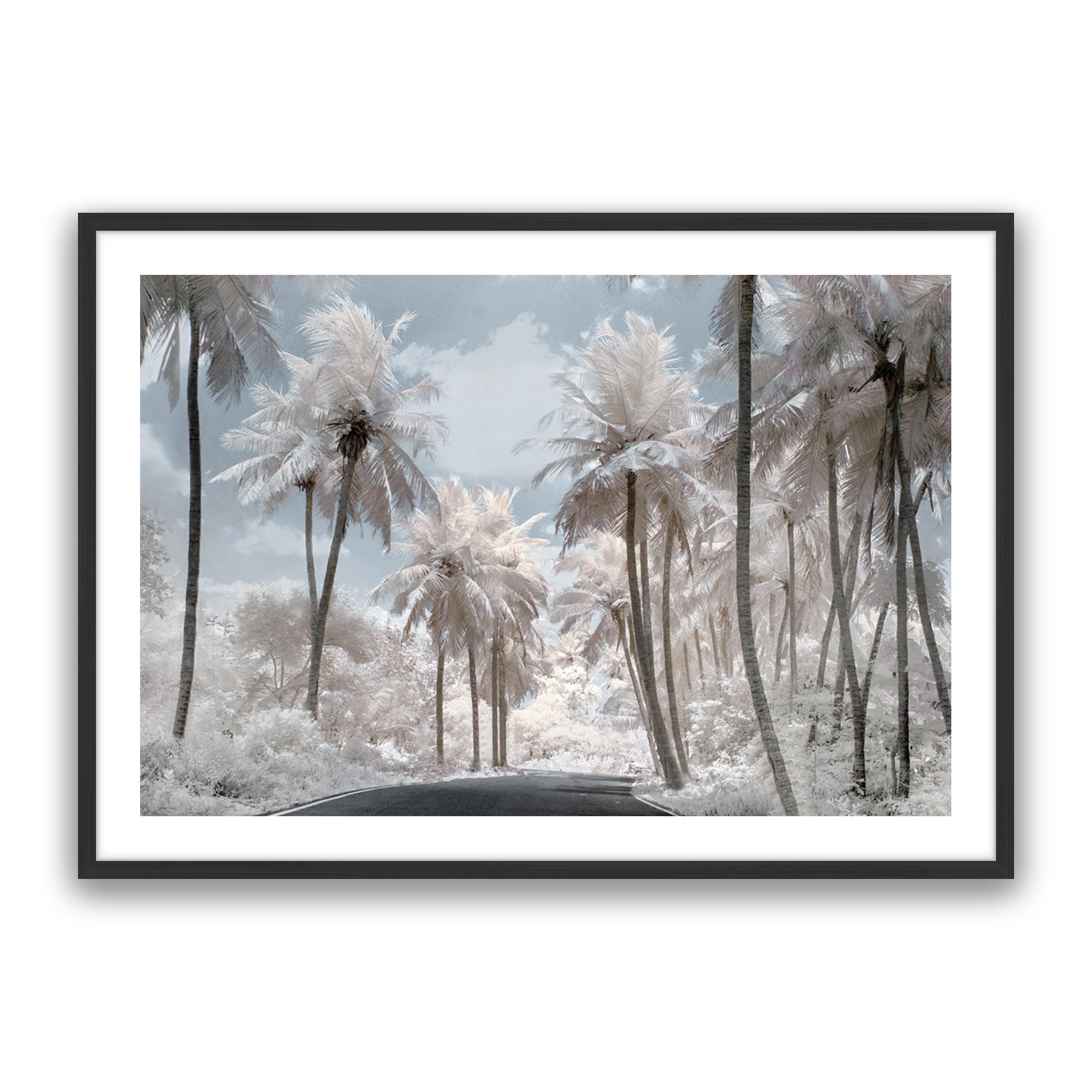 White Dream