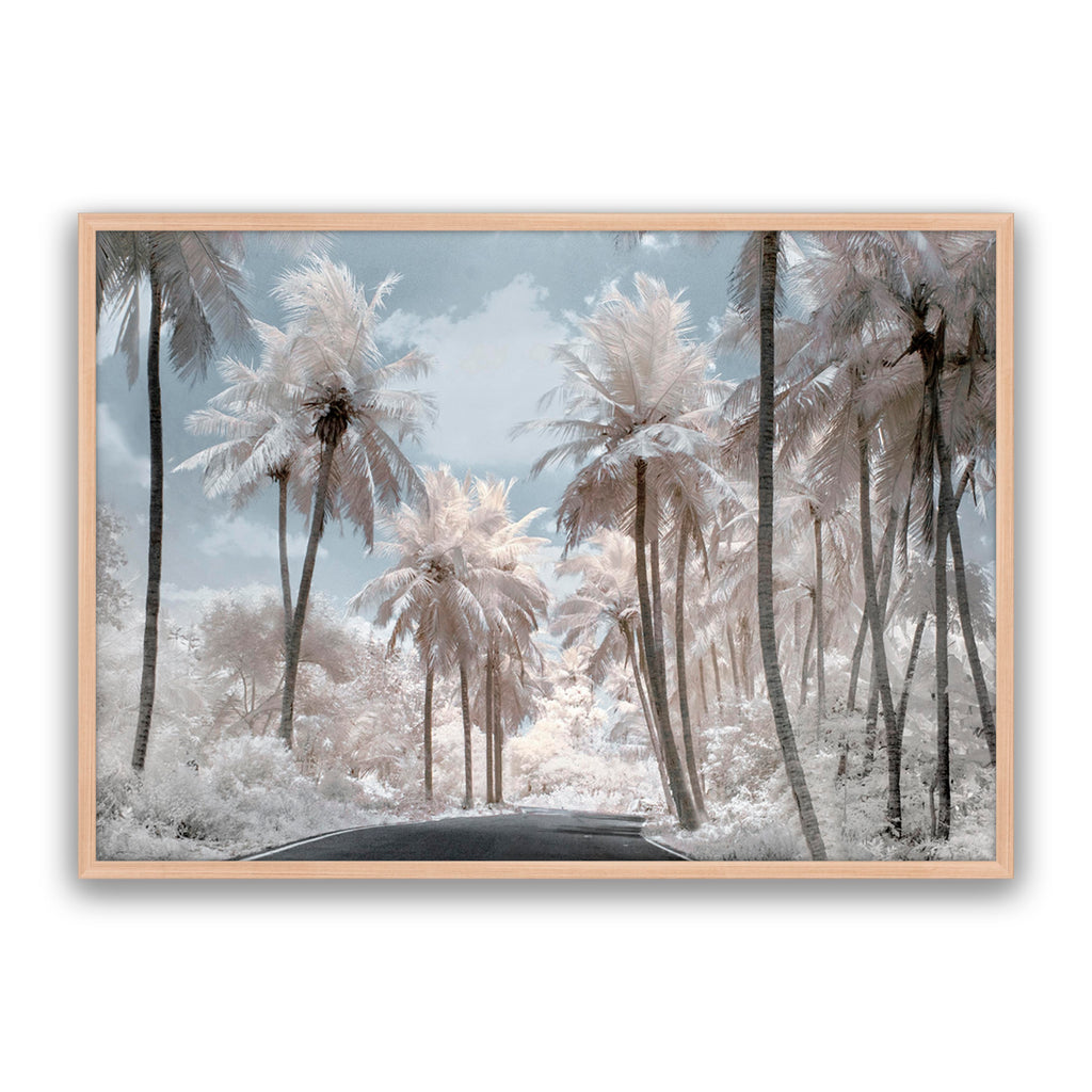White Dream