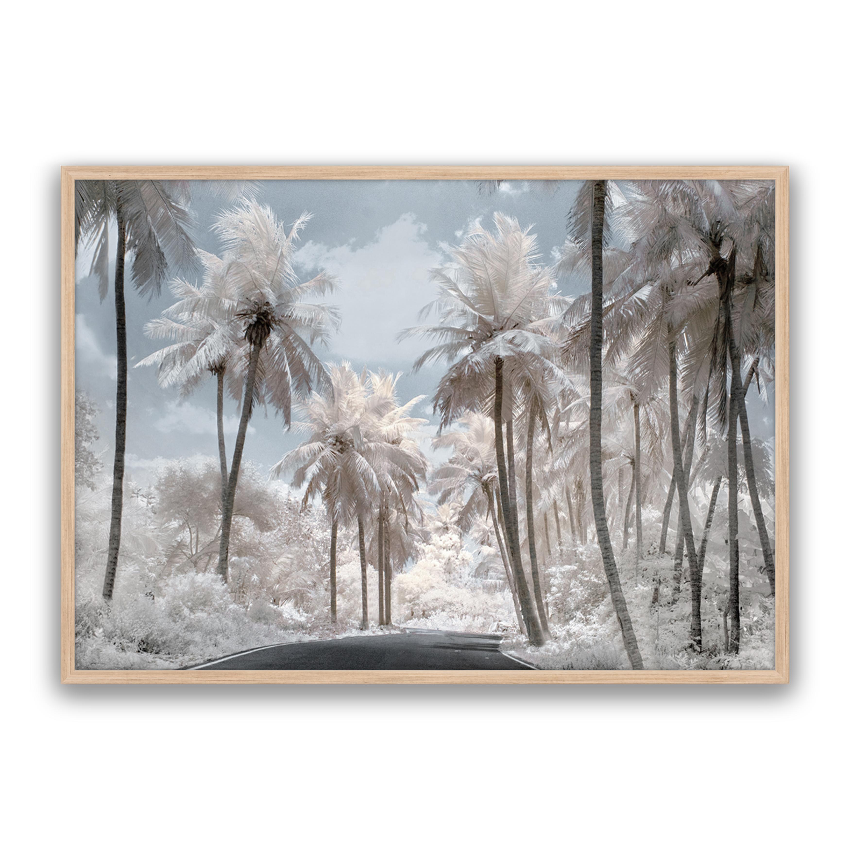 White Dream