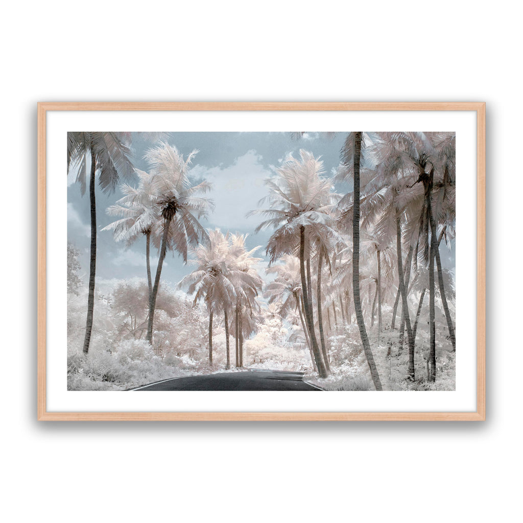 White Dream