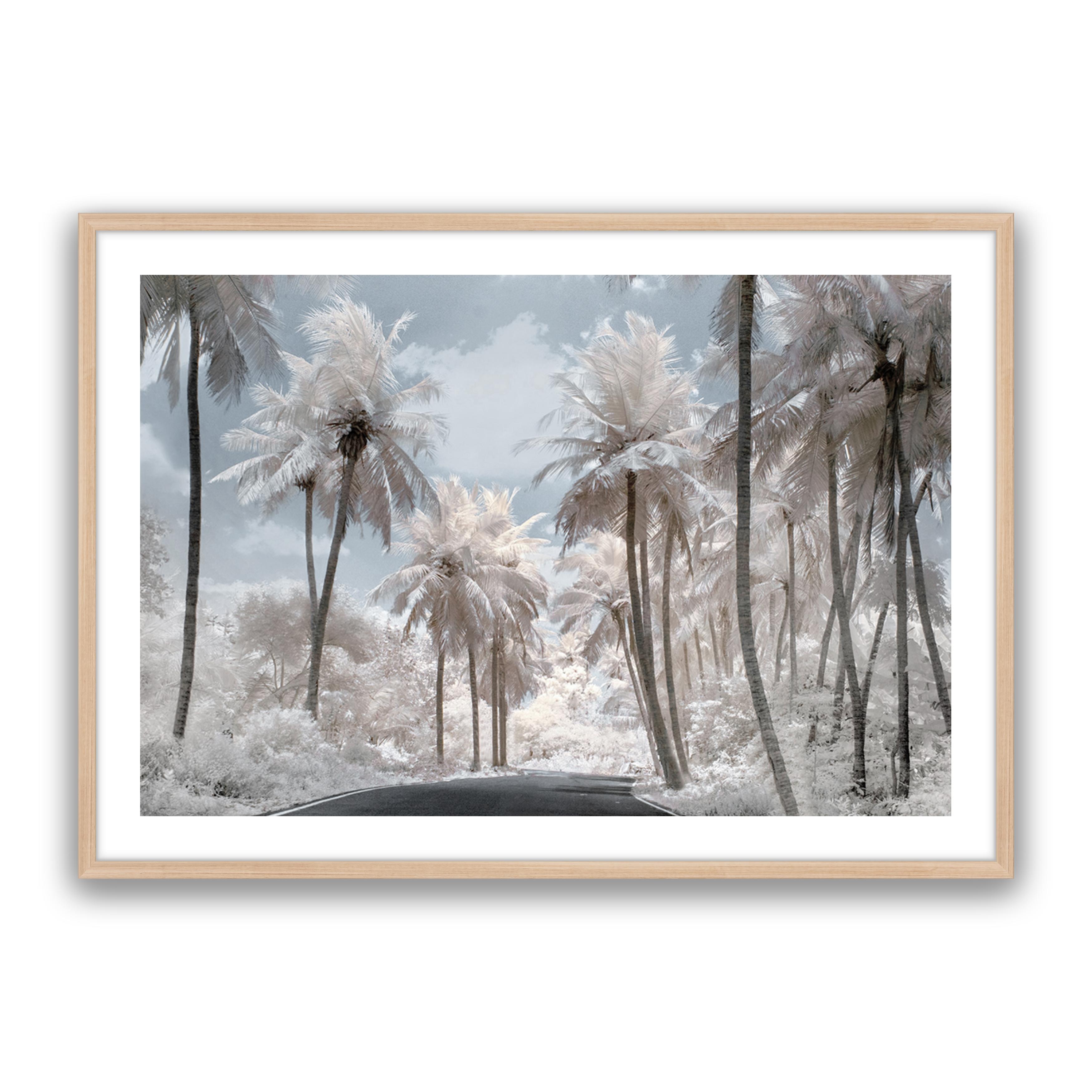 White Dream
