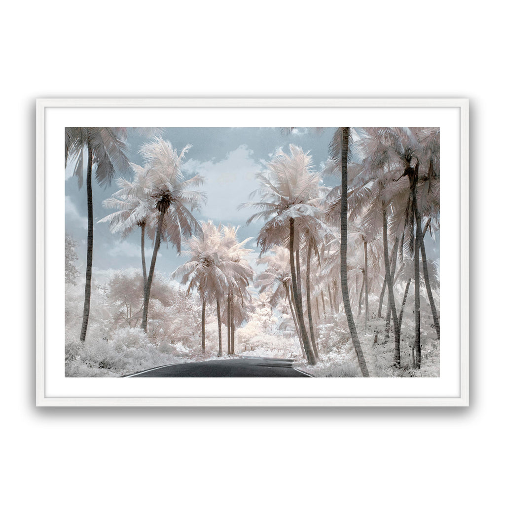 White Dream