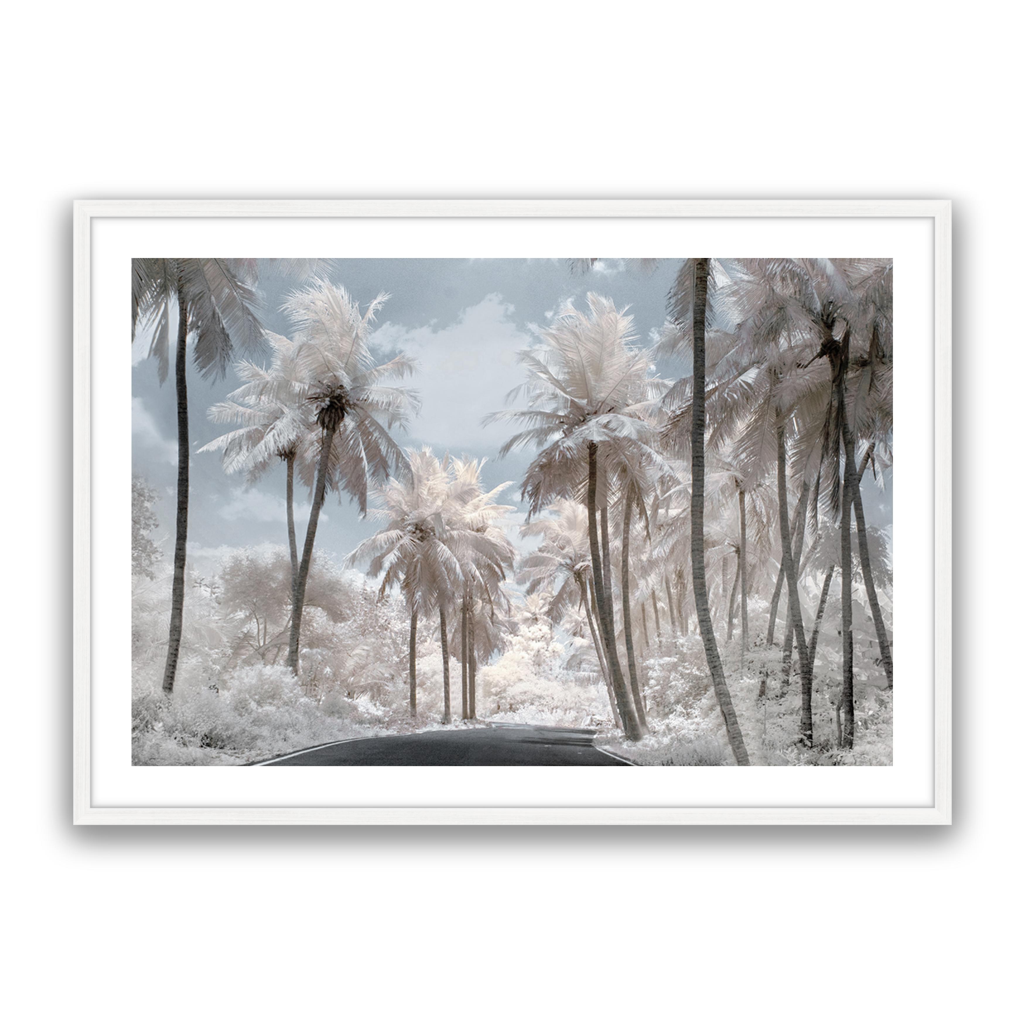 White Dream