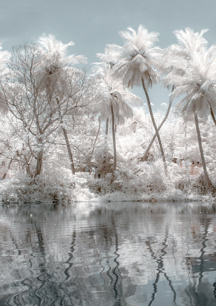 Reflection