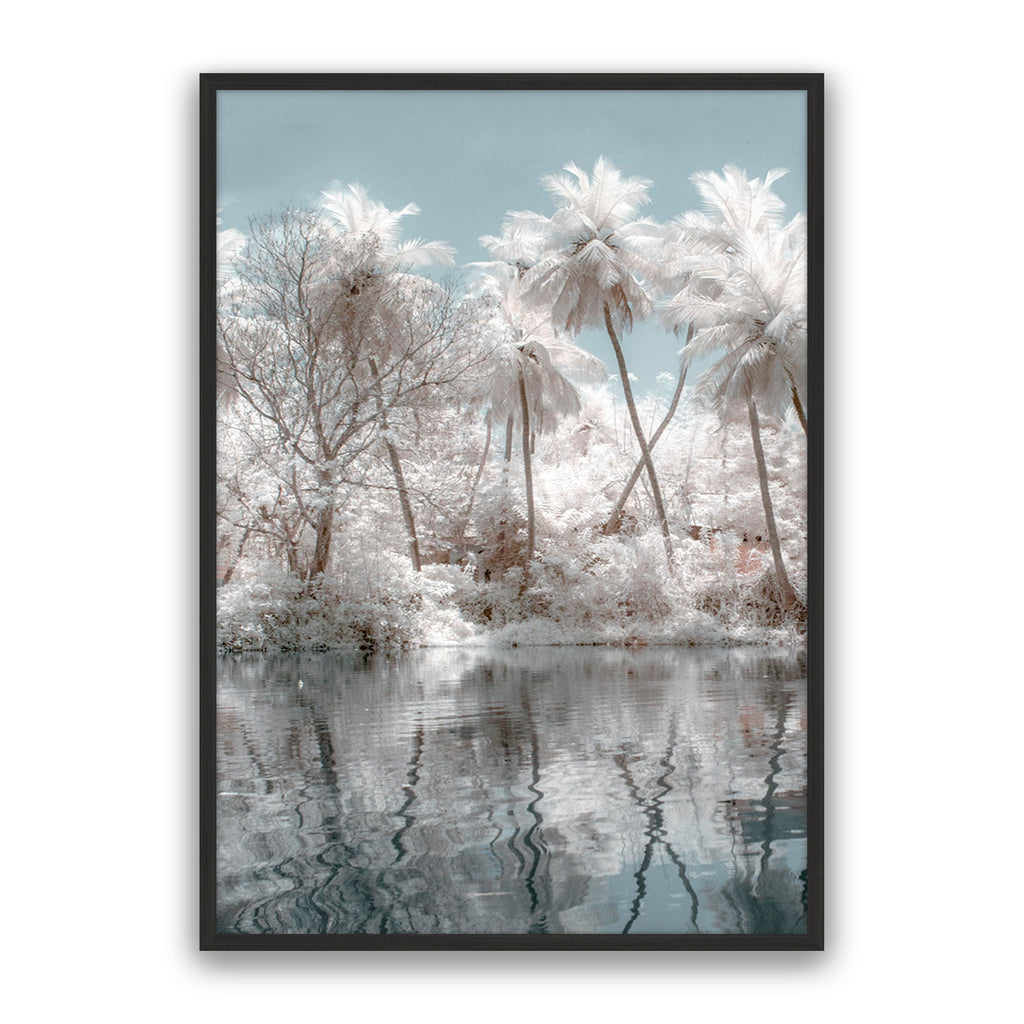 Reflection