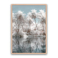 Reflection