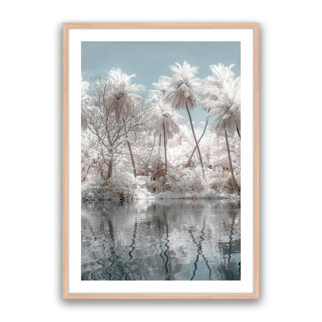 Reflection