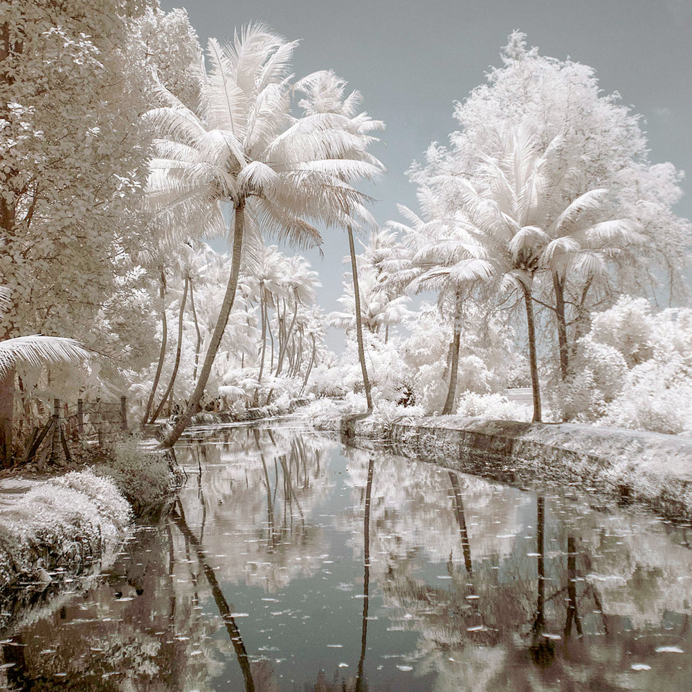 Paradise Walk