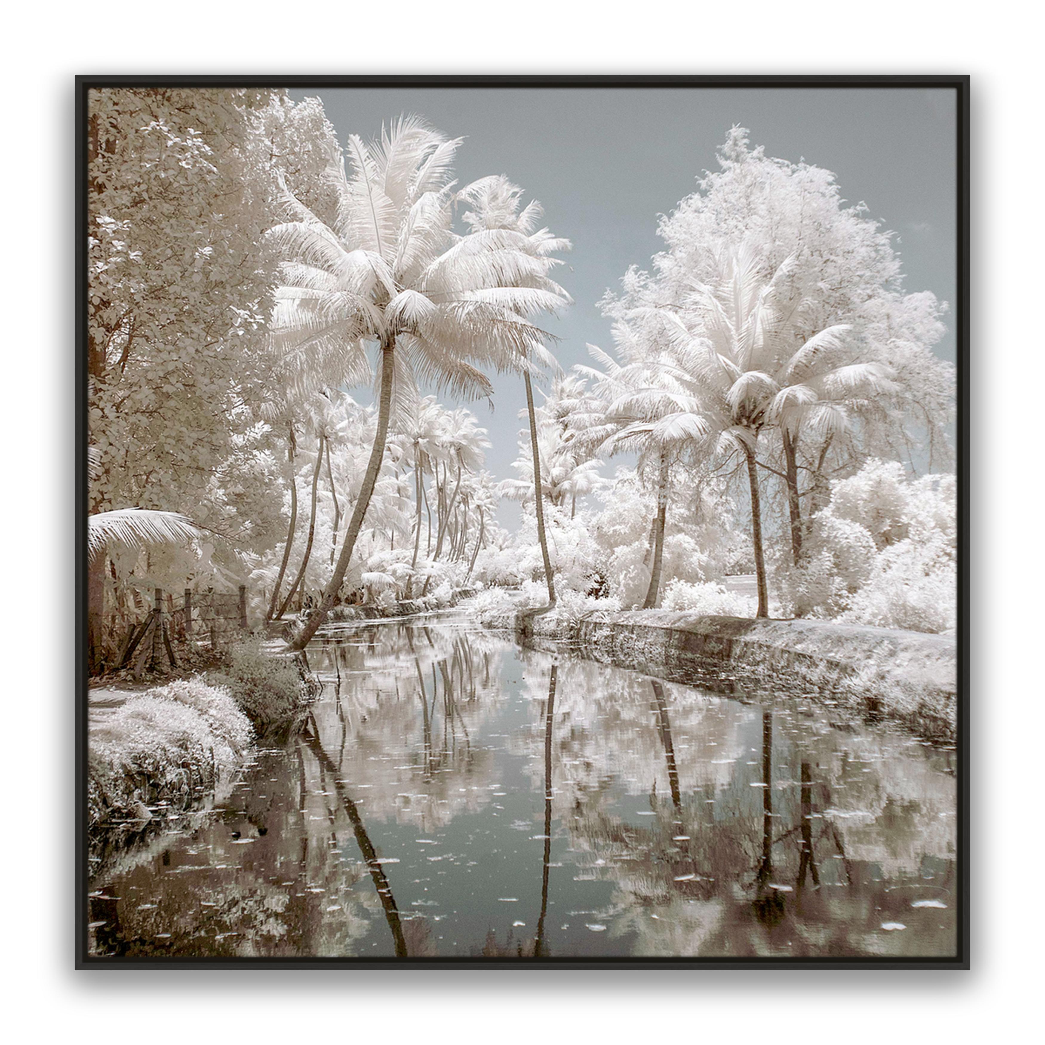 Paradise Walk