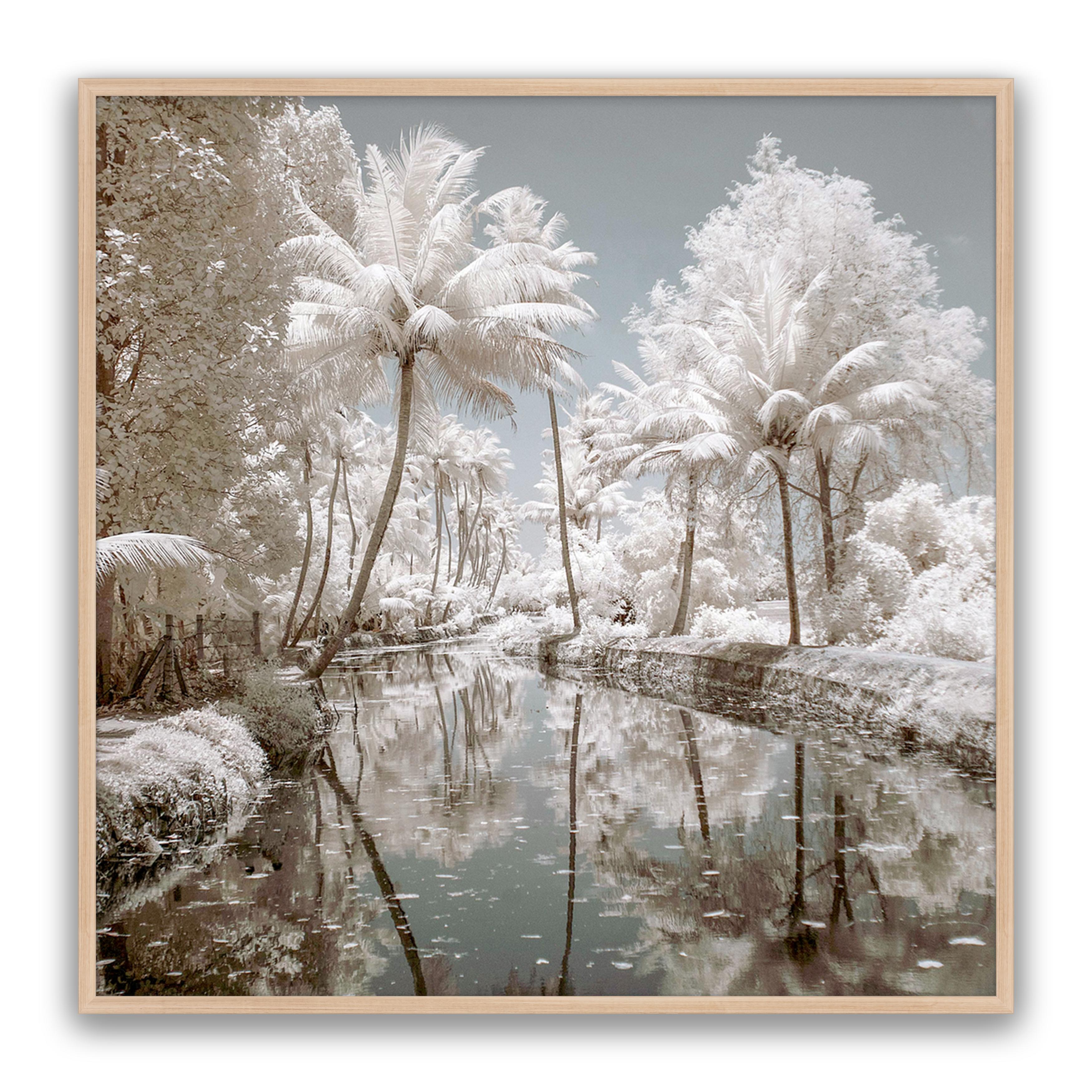 Paradise Walk