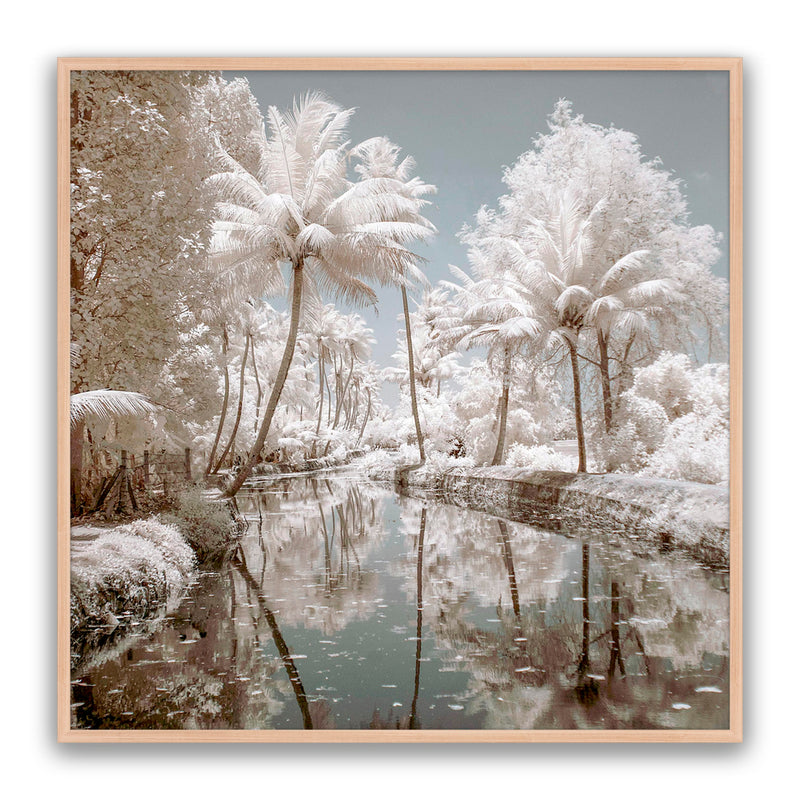 Paradise Walk