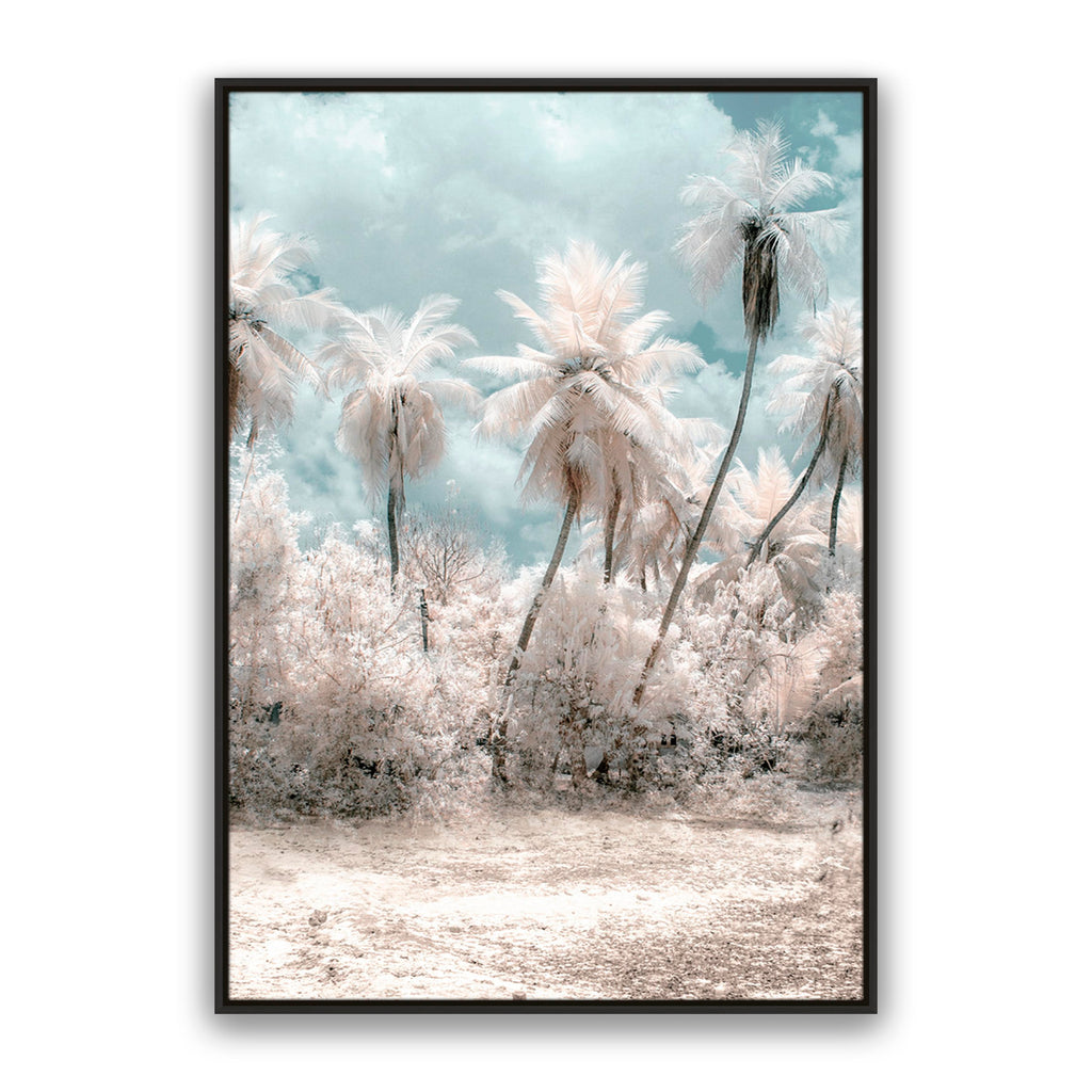 Soft Palms