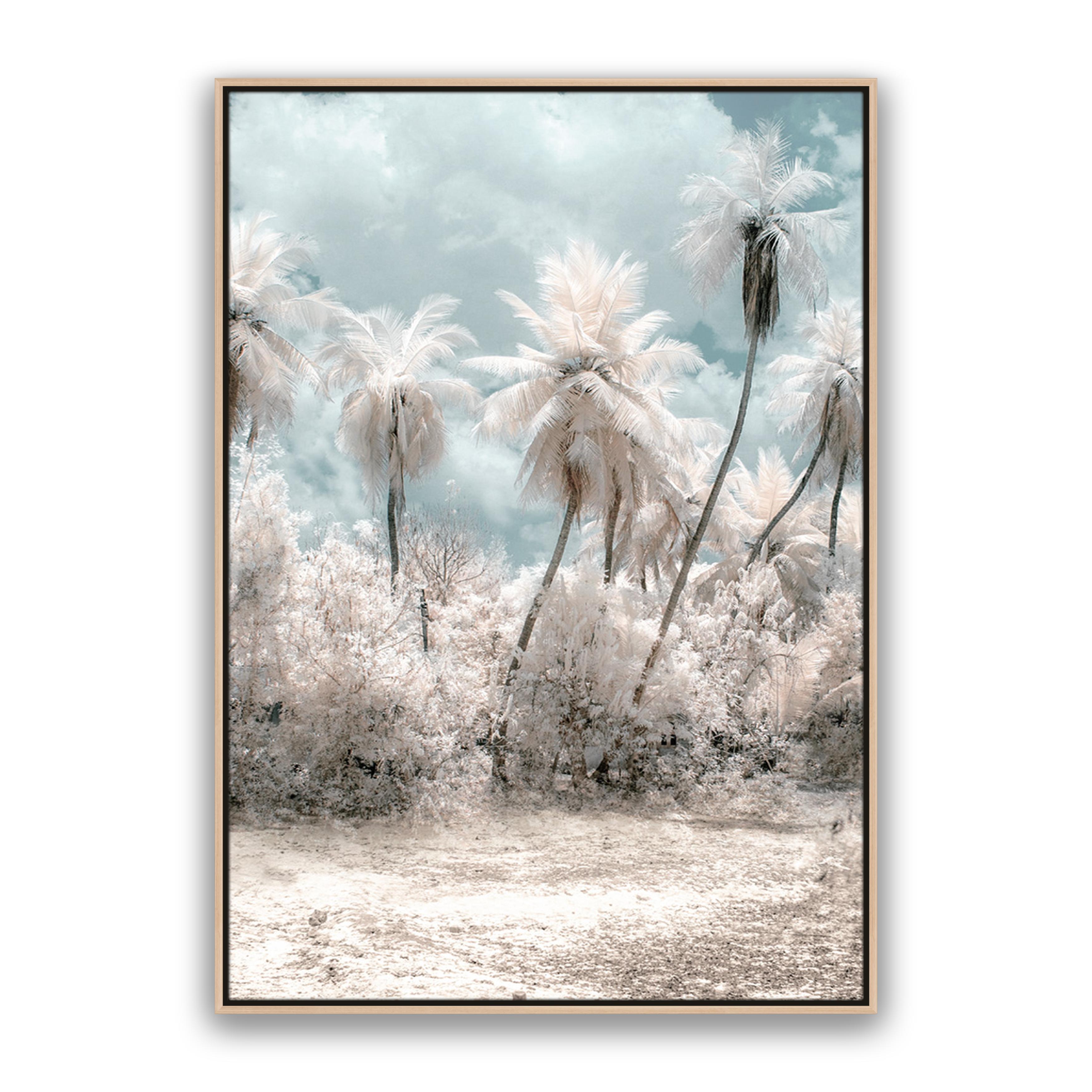 Soft Palms