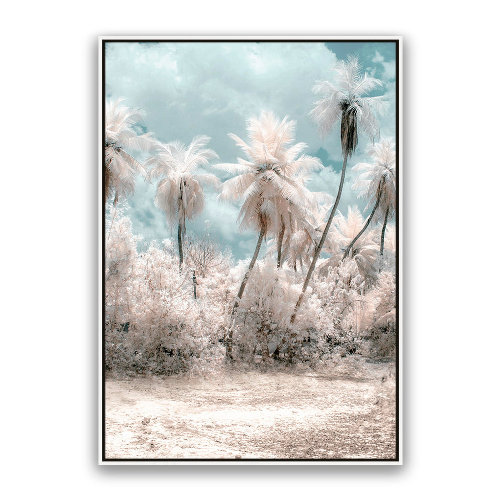 Soft Palms