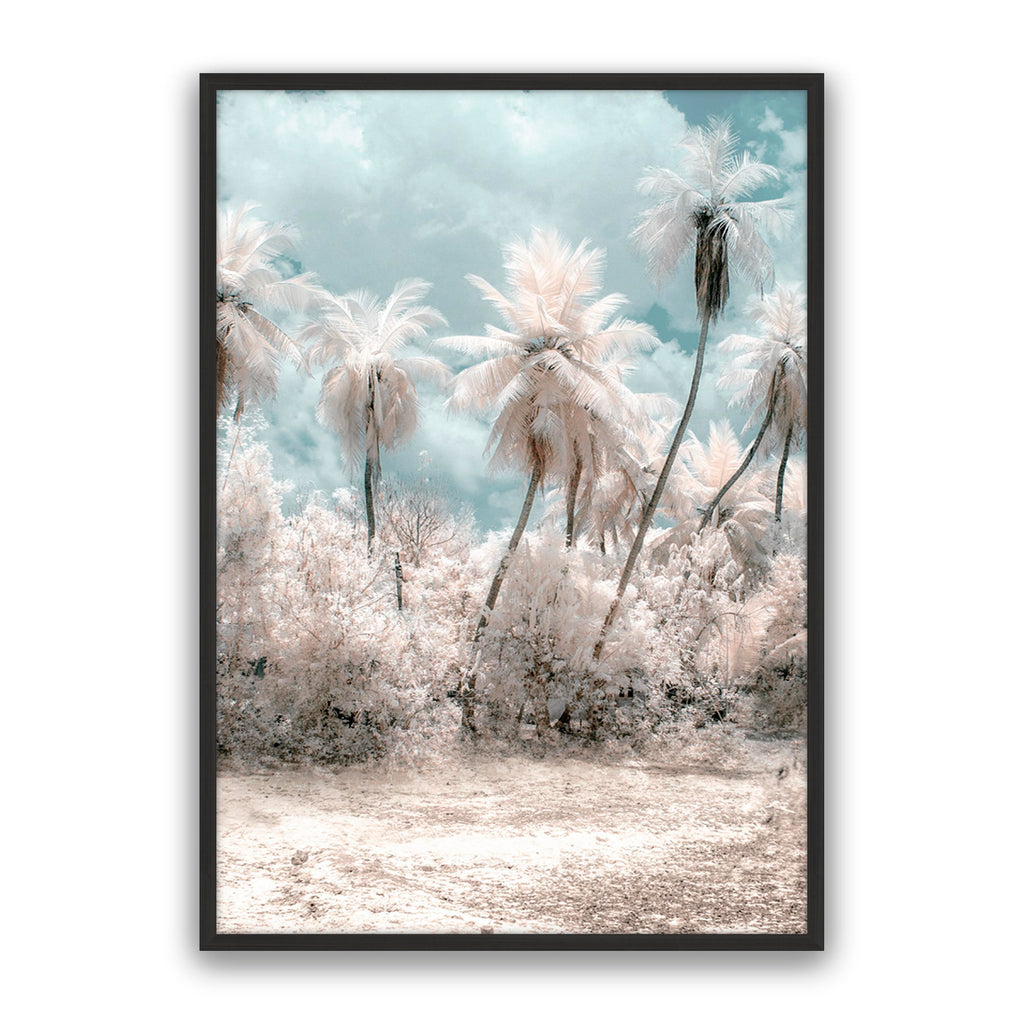 Soft Palms