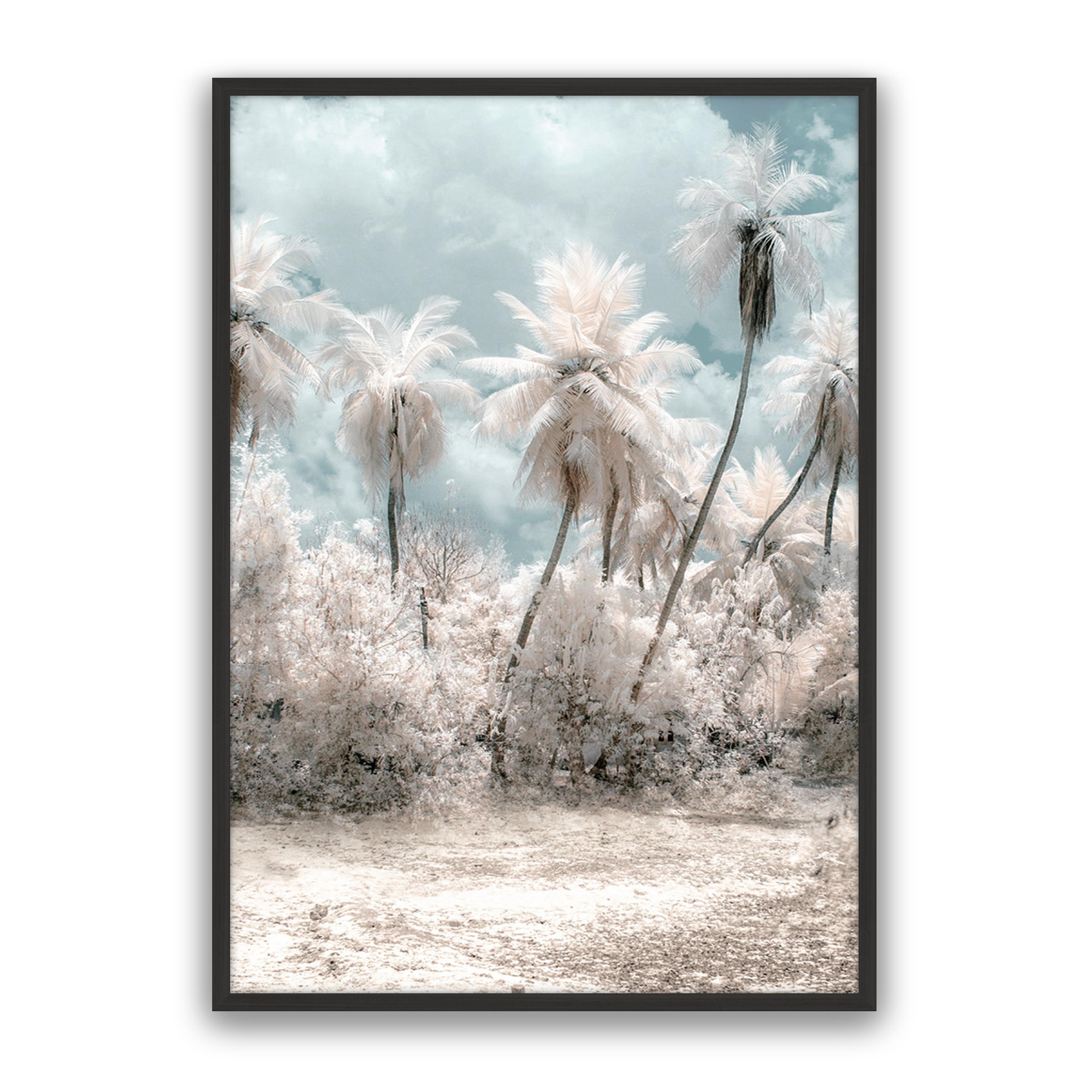 Soft Palms