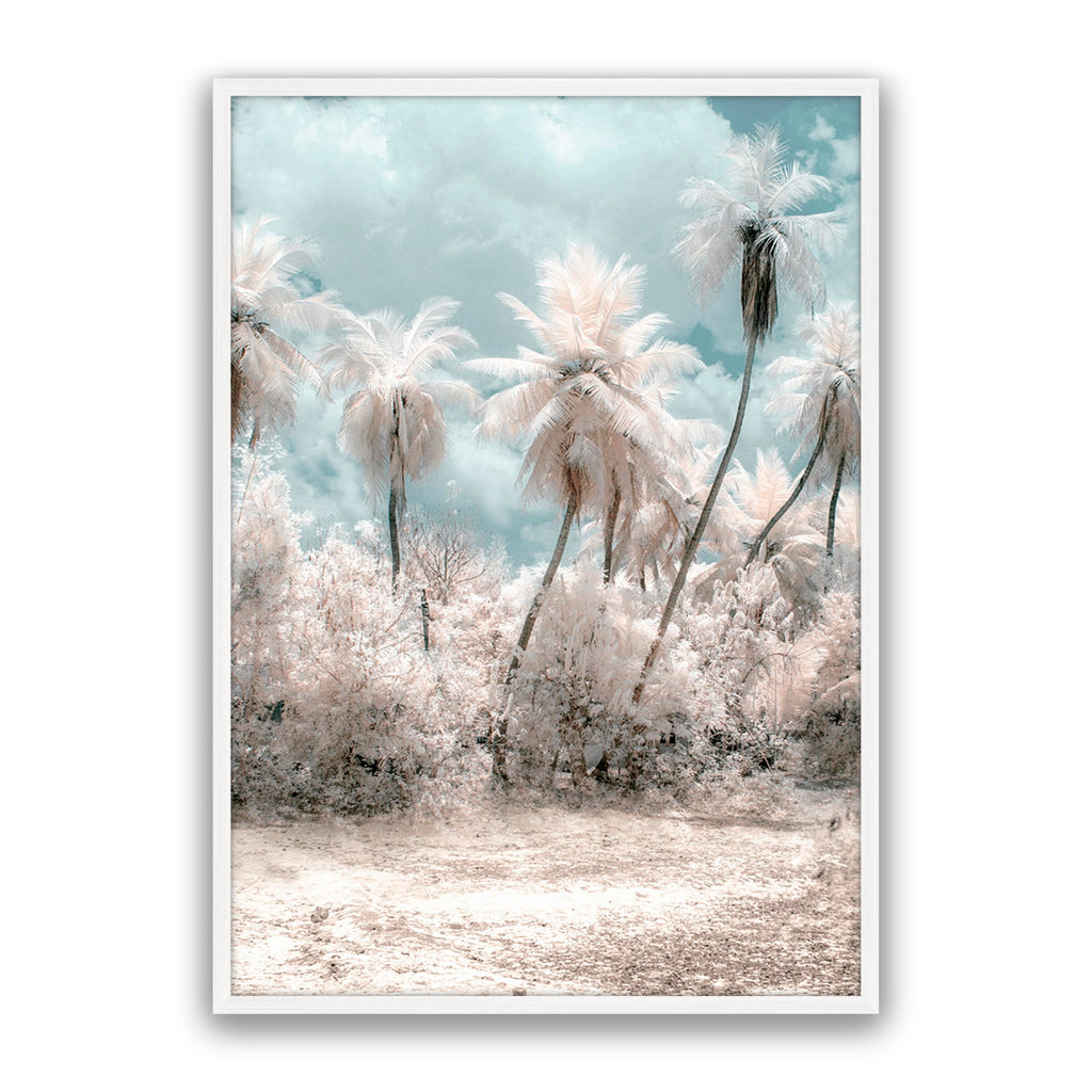 Soft Palms