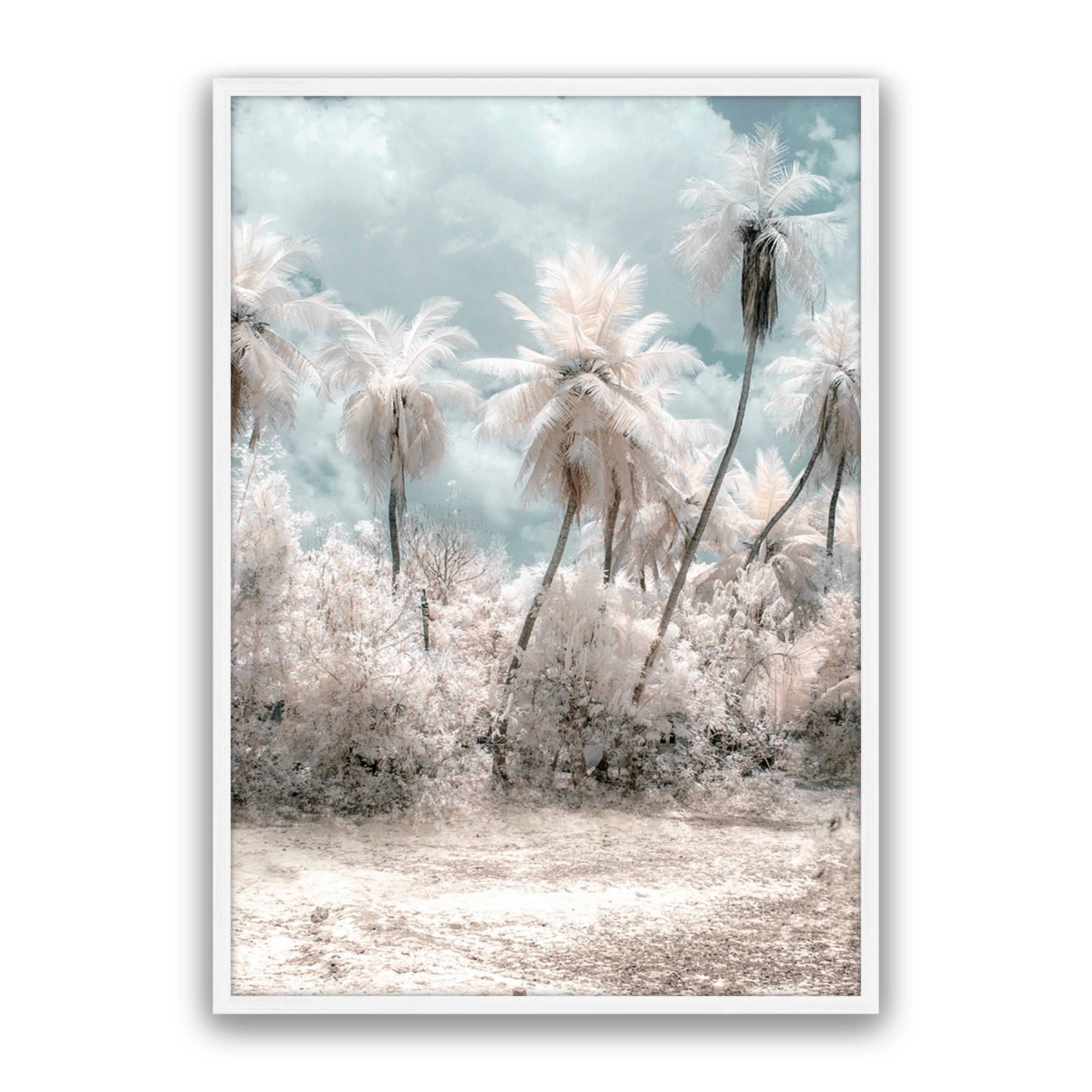 Soft Palms