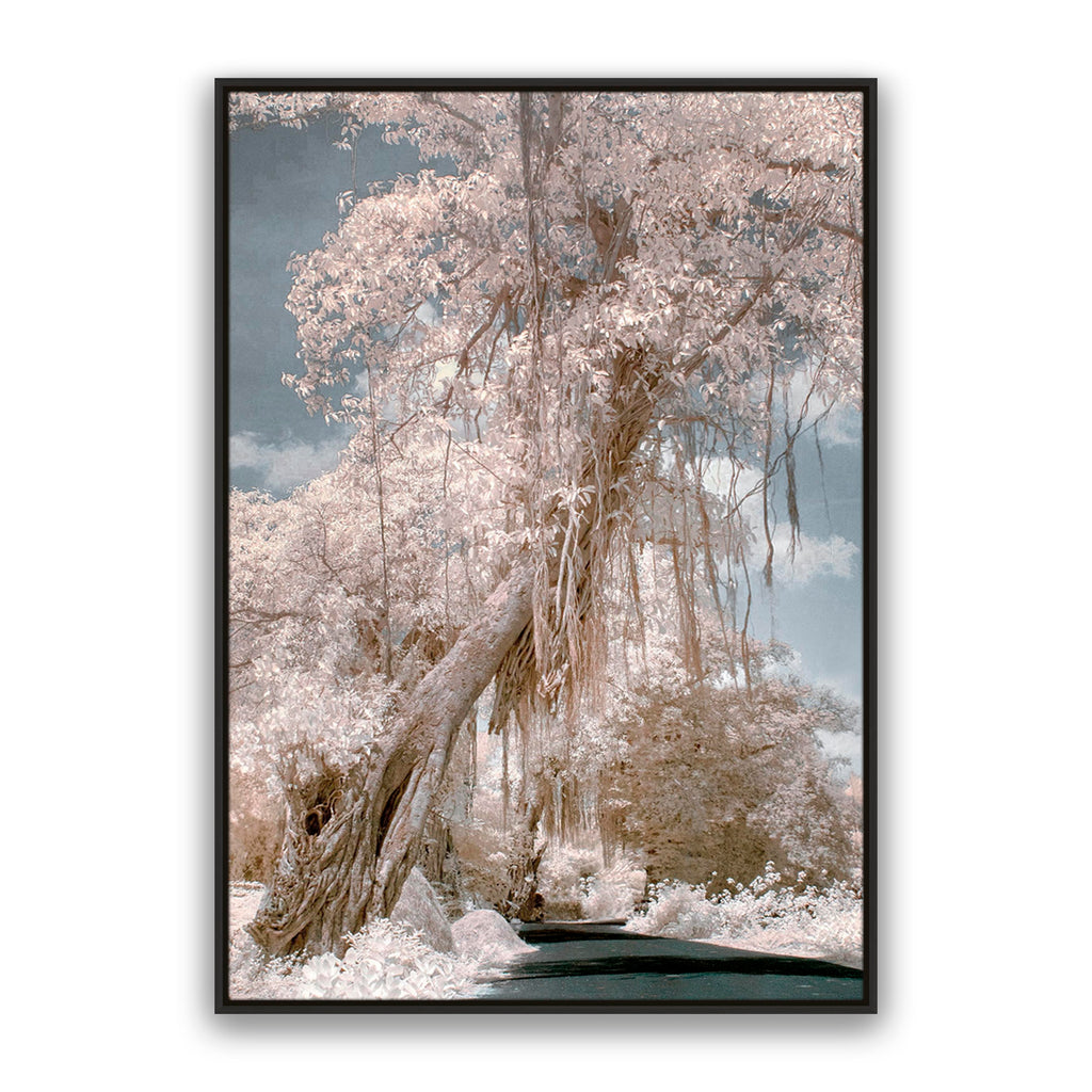 Paradise Road