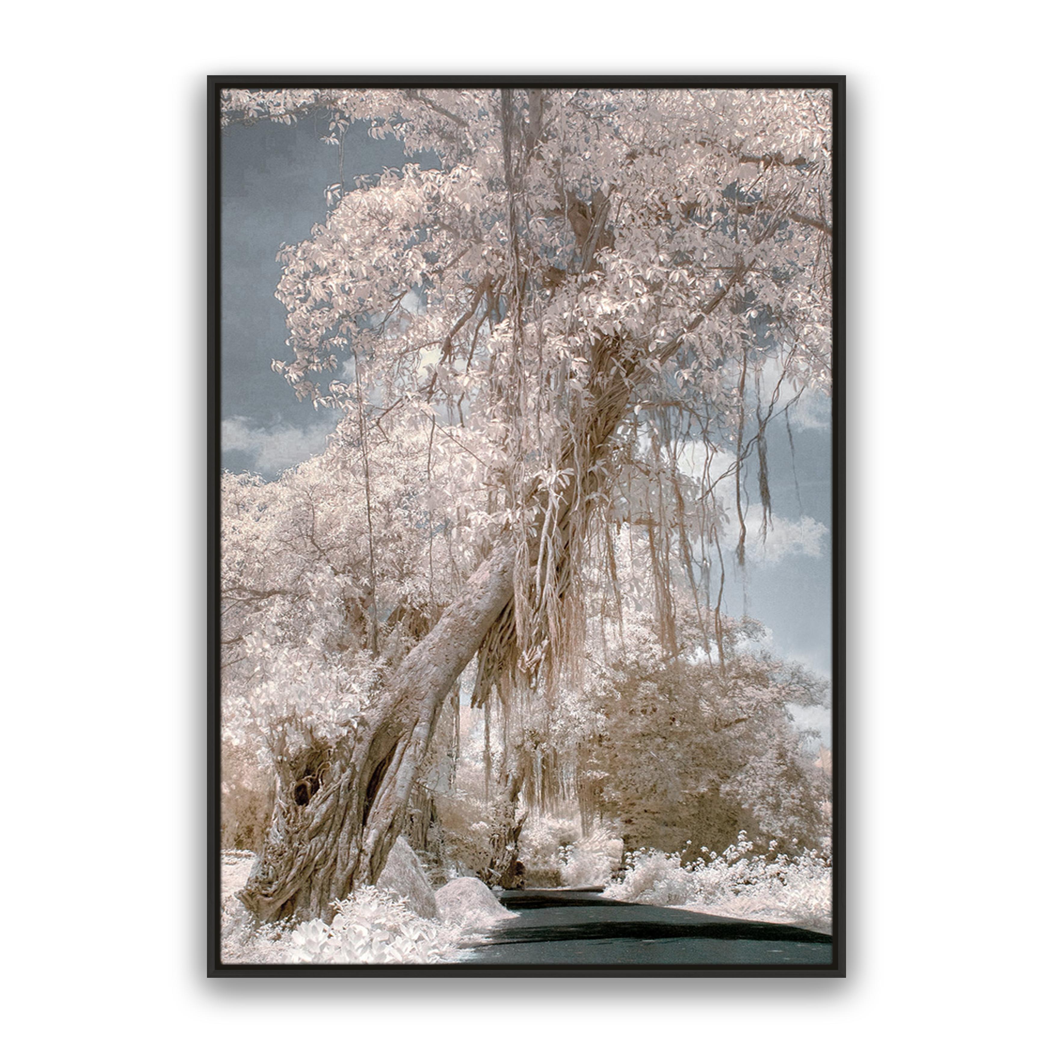 Paradise Road